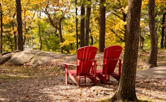 A couple of red chairs sitting in the middle of a forest