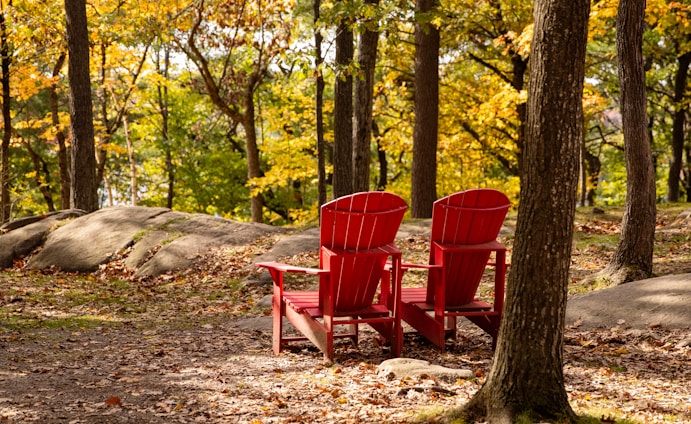 A couple of red chairs sitting in the middle of a forest