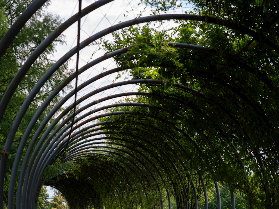 The image depicts a large, curved metal archway constructed from gray metal rods and covered with lush green vines and plants. The archway is situated within an outdoor setting, possibly a park or garden, where the verdant foliage provides a natural backdrop to the man-made structure.

The perspective of the photo is taken from below, looking up at the archway, which enhances its imposing presence against the sky. The image does not contain any discernible text or countable objects, and there are no people visible in the frame.