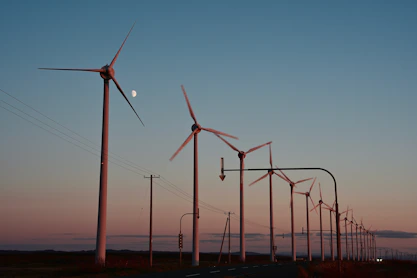 A row of wind turbines next to a road