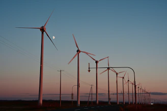A row of wind turbines next to a road