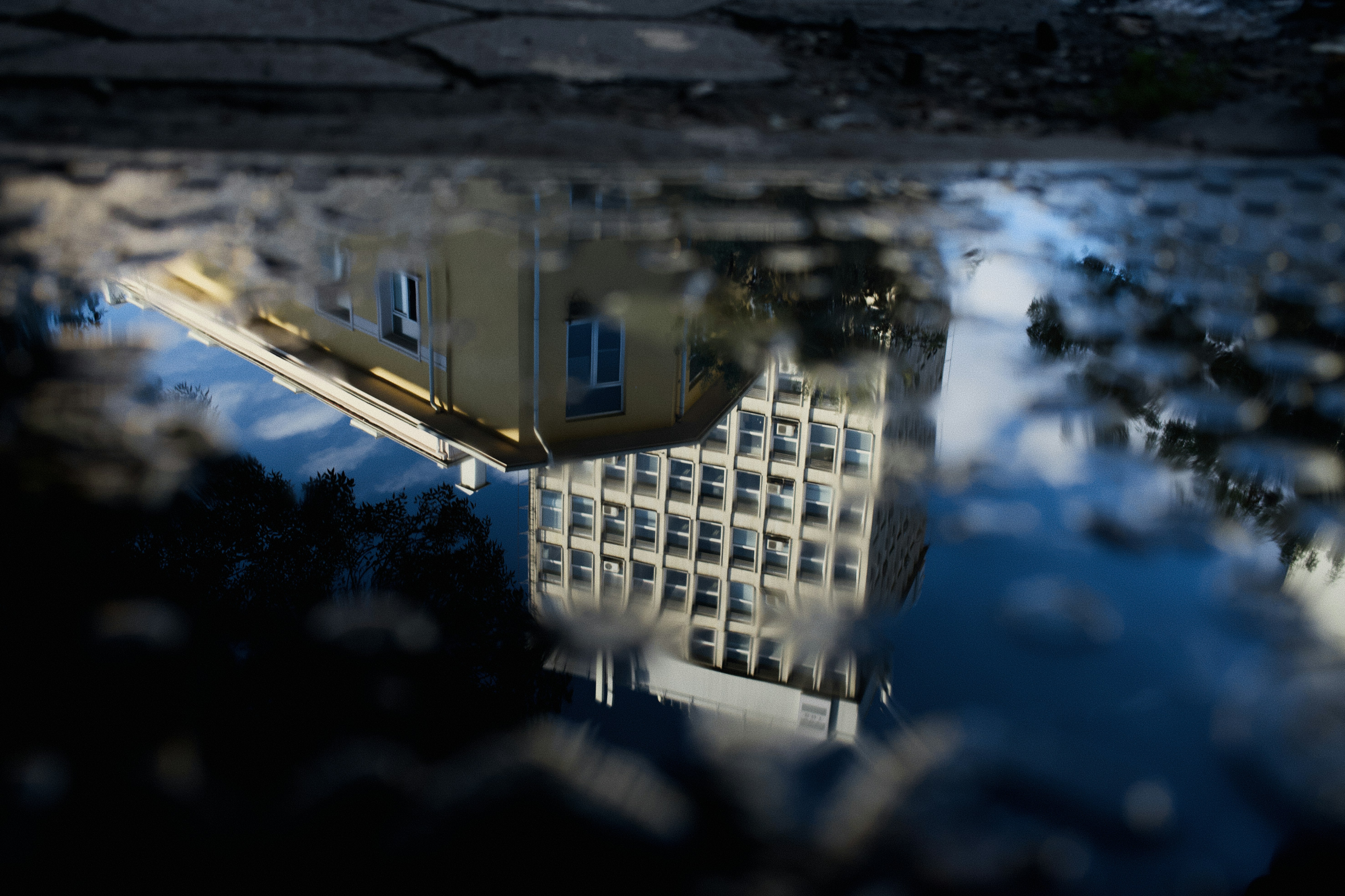 Музикален фестивал