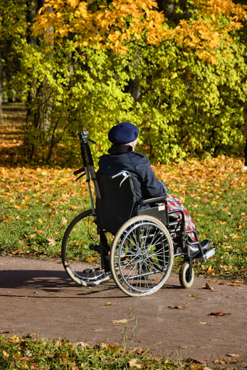 A person in a wheel chair on a path
