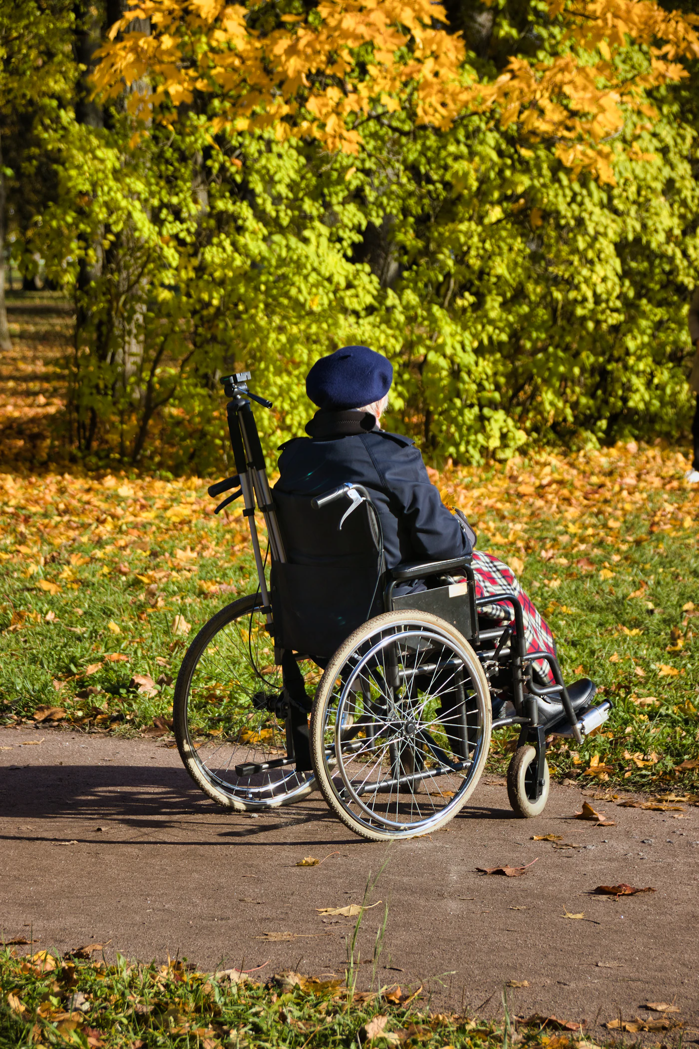 A person using a wheelchair on an outdoor path