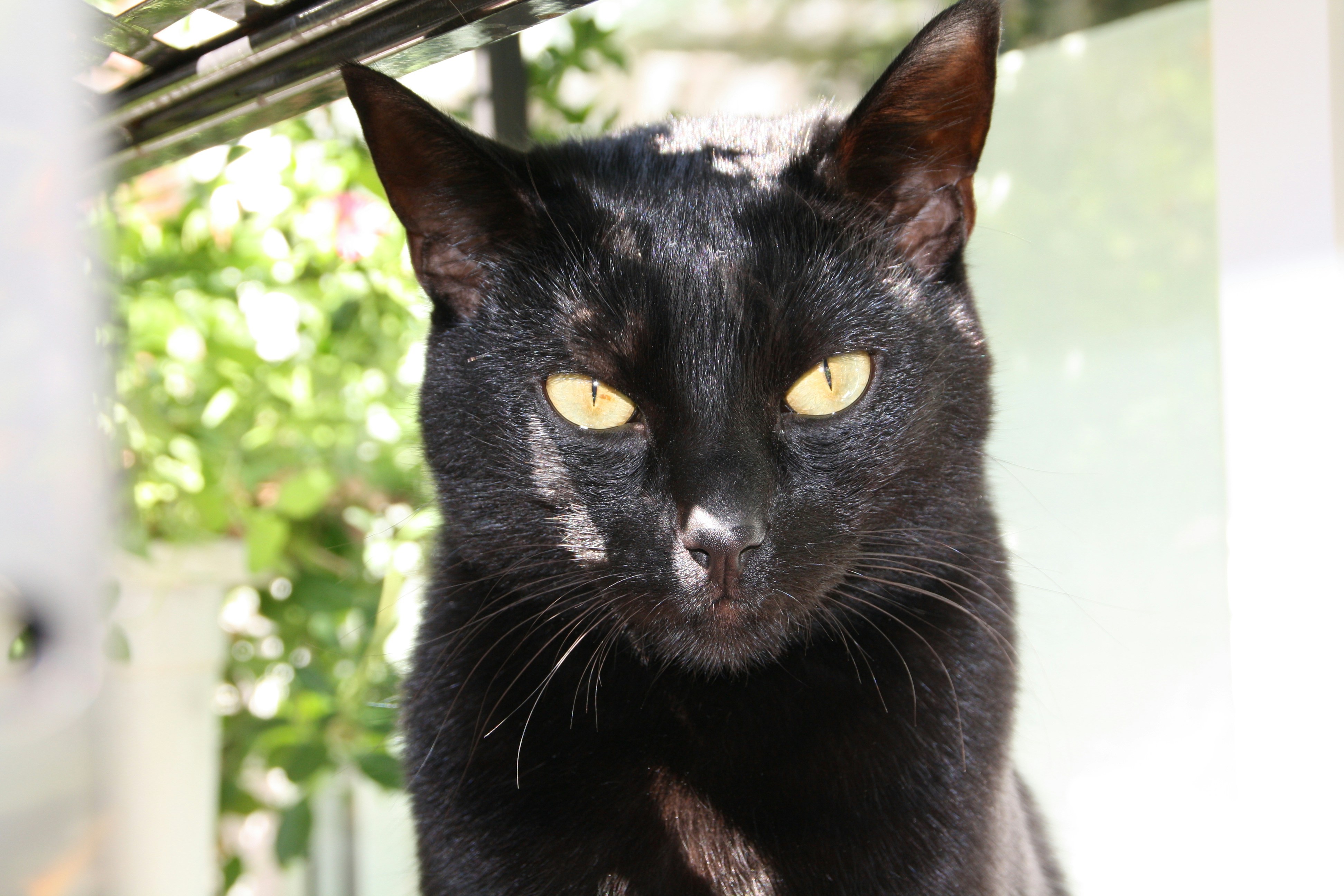 Photo by bellefiction