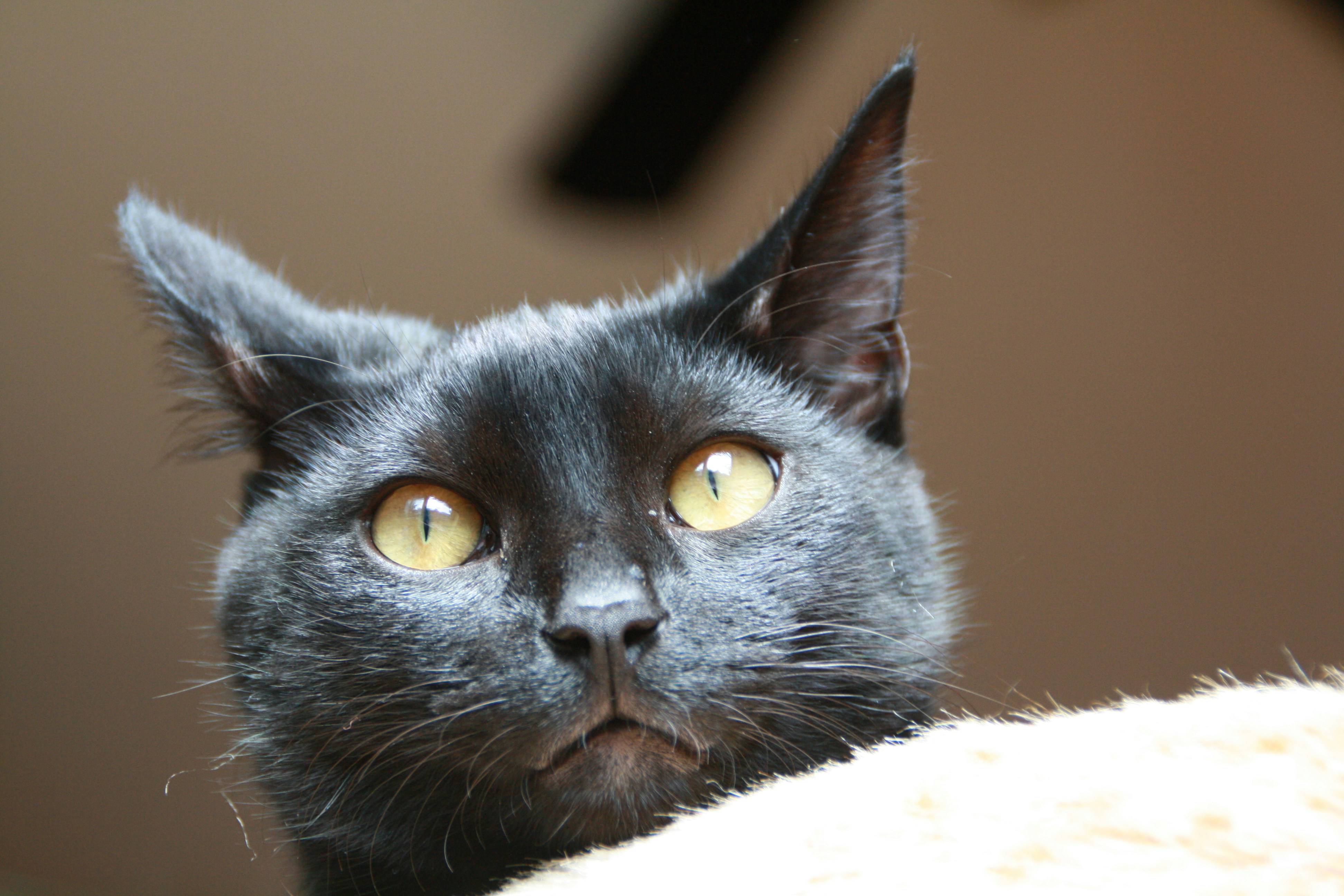 Photo by bellefiction