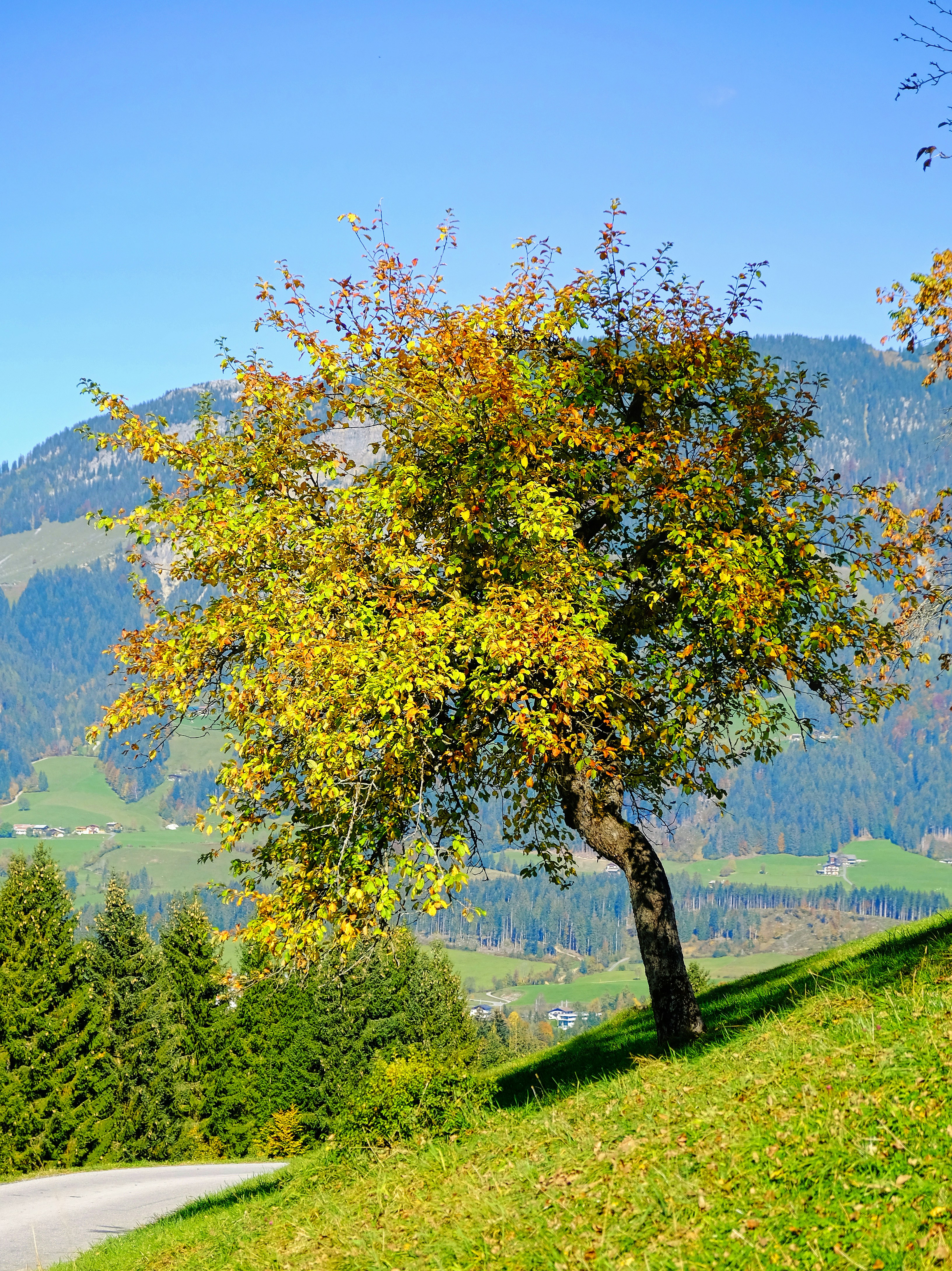 Photo by magictravel