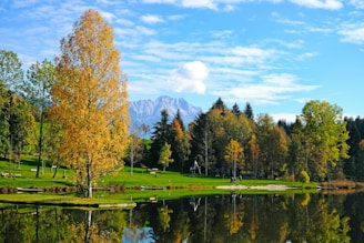 A lake surrounded by trees with mountains in the background