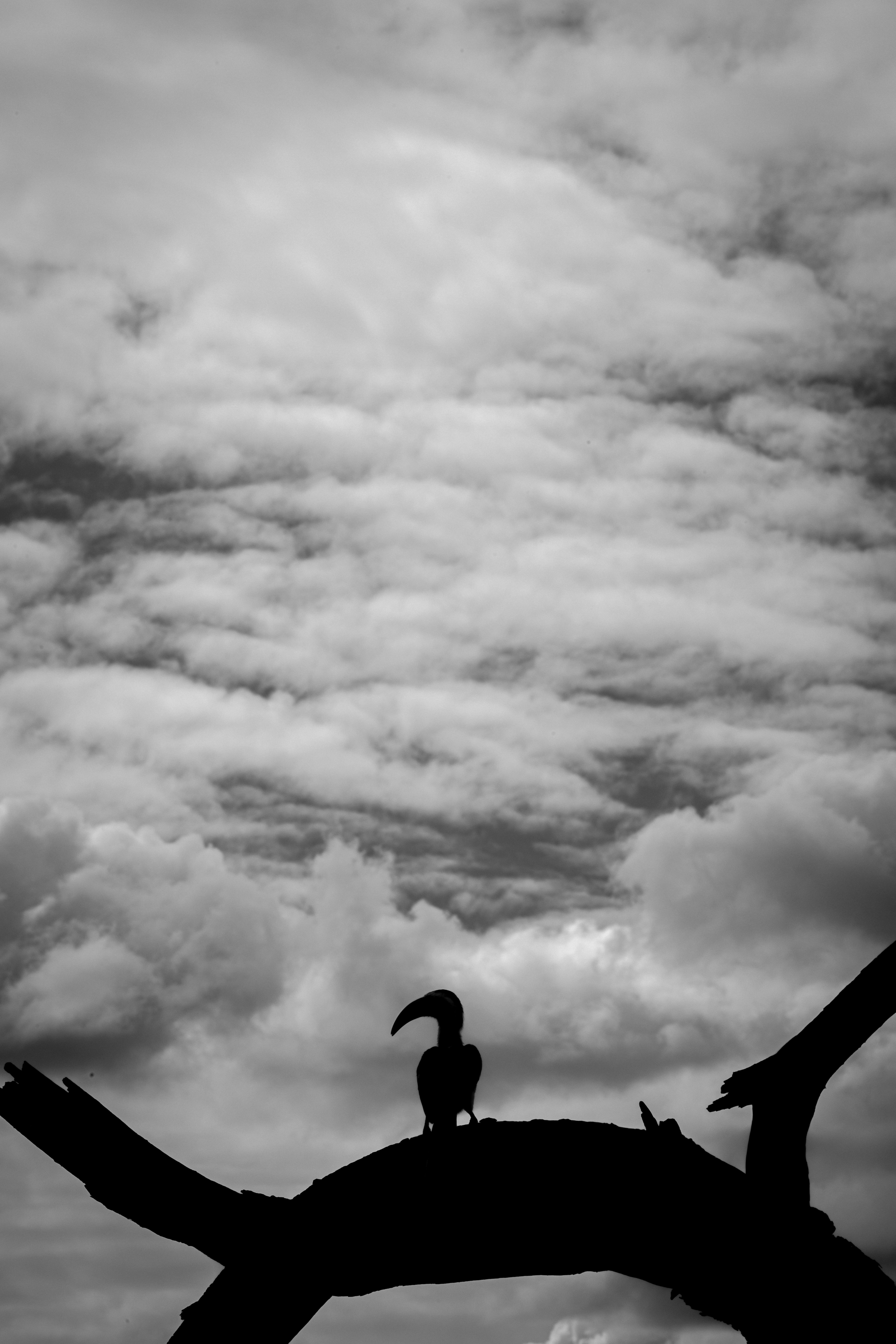 Serengeti – Geography & Spatial Structure