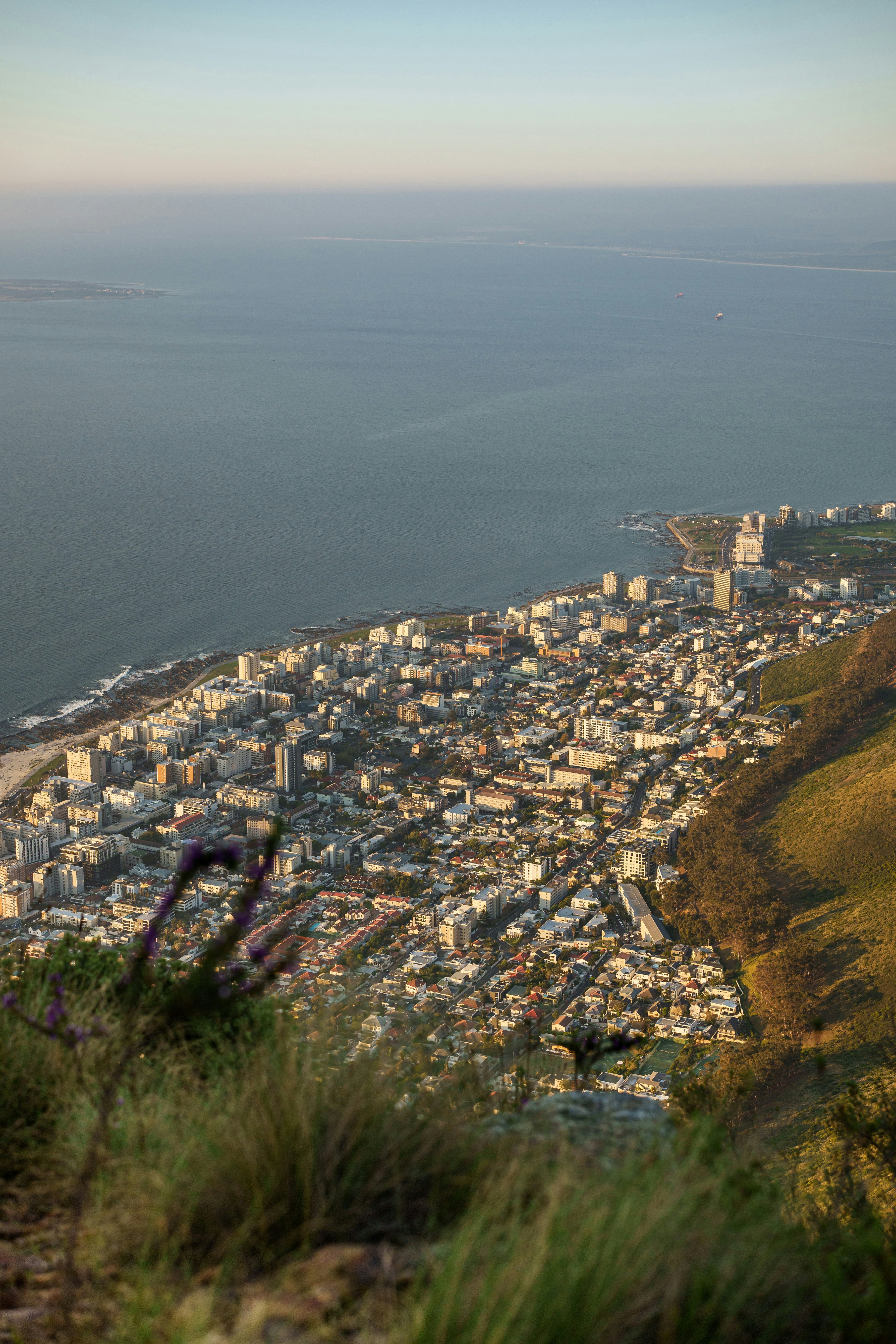 A view of a city from the top of a hill