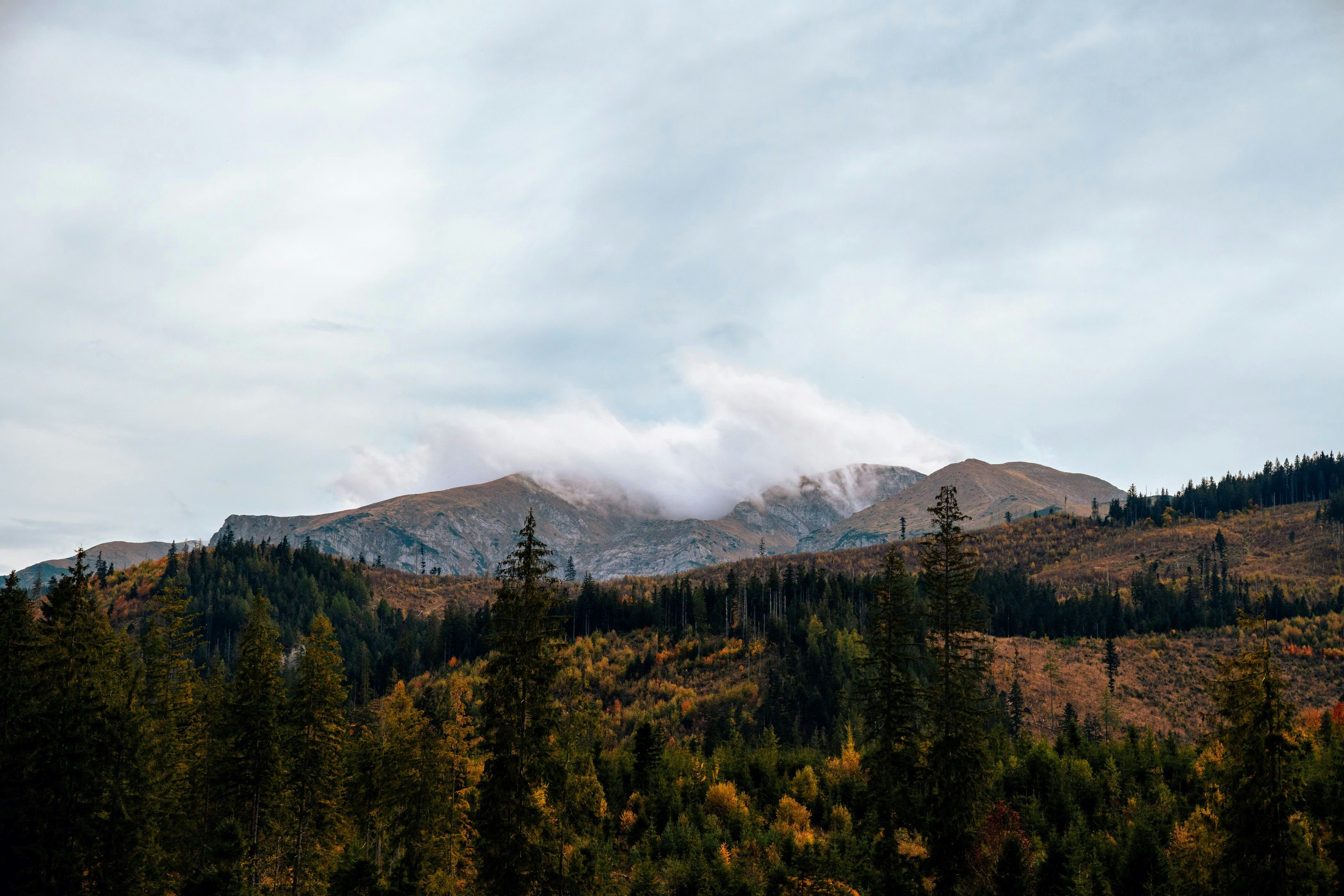 Photo by slawekdrobek