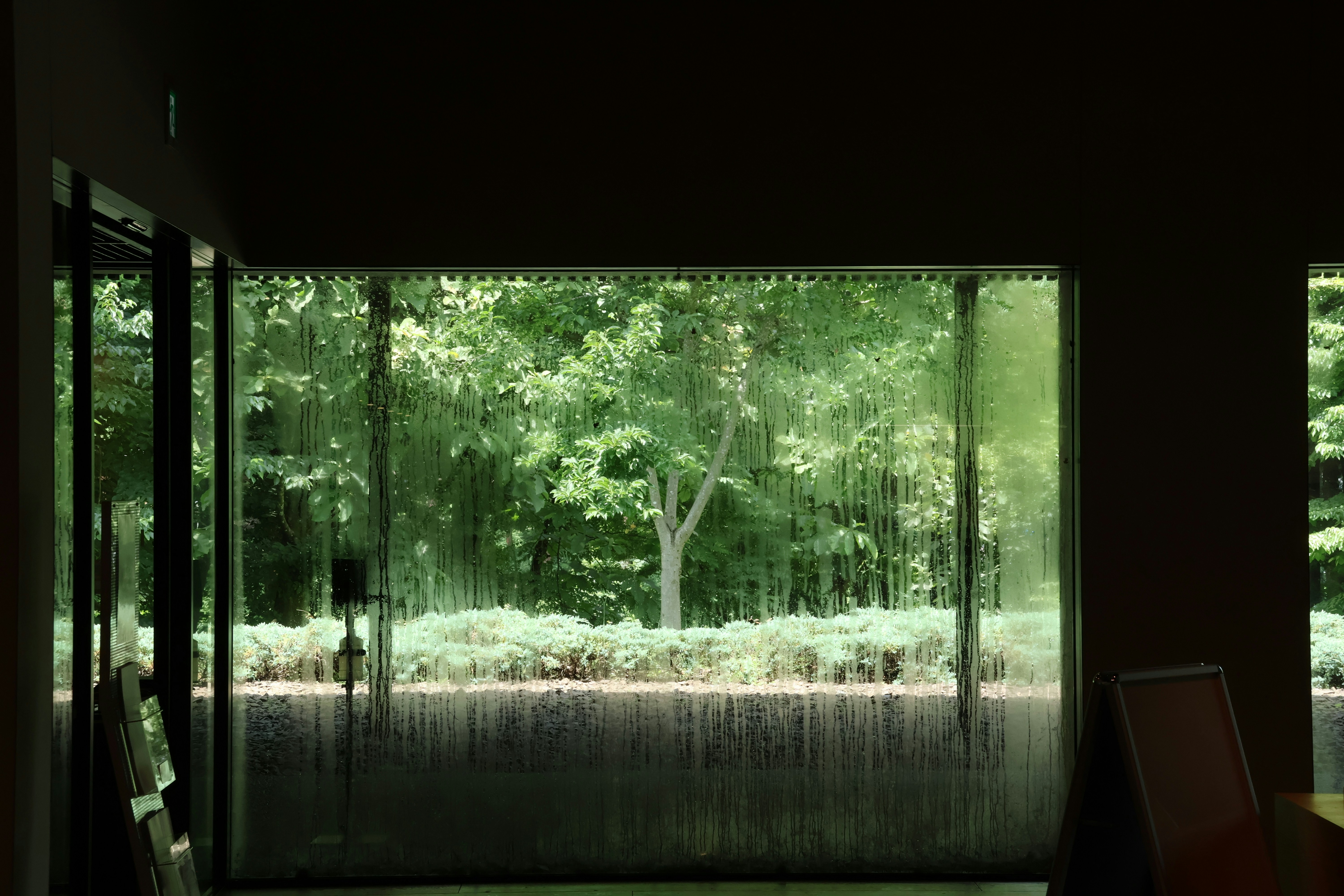 A room with a view of a forest through a window