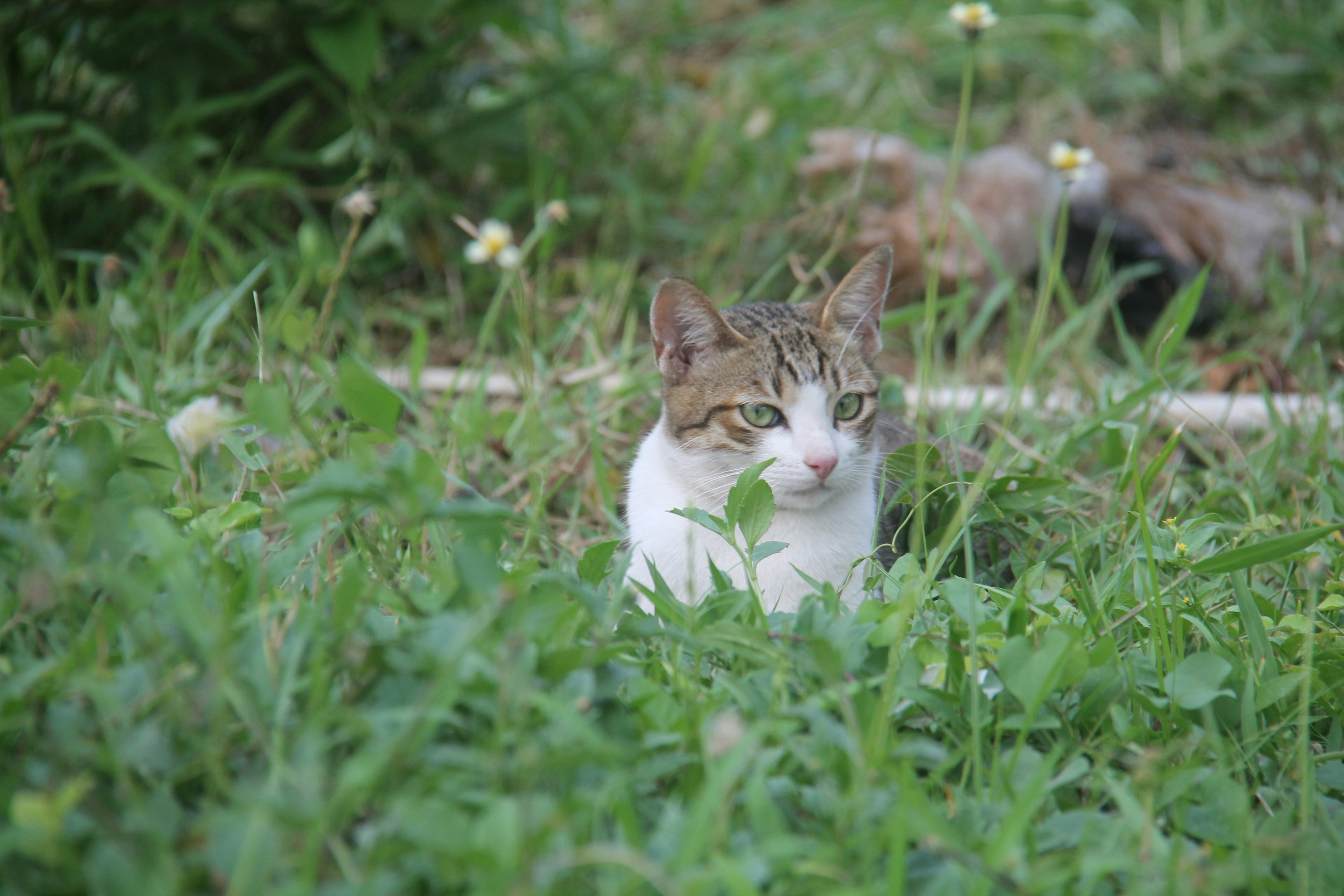 Age and Life Stages (image credits: unsplash)