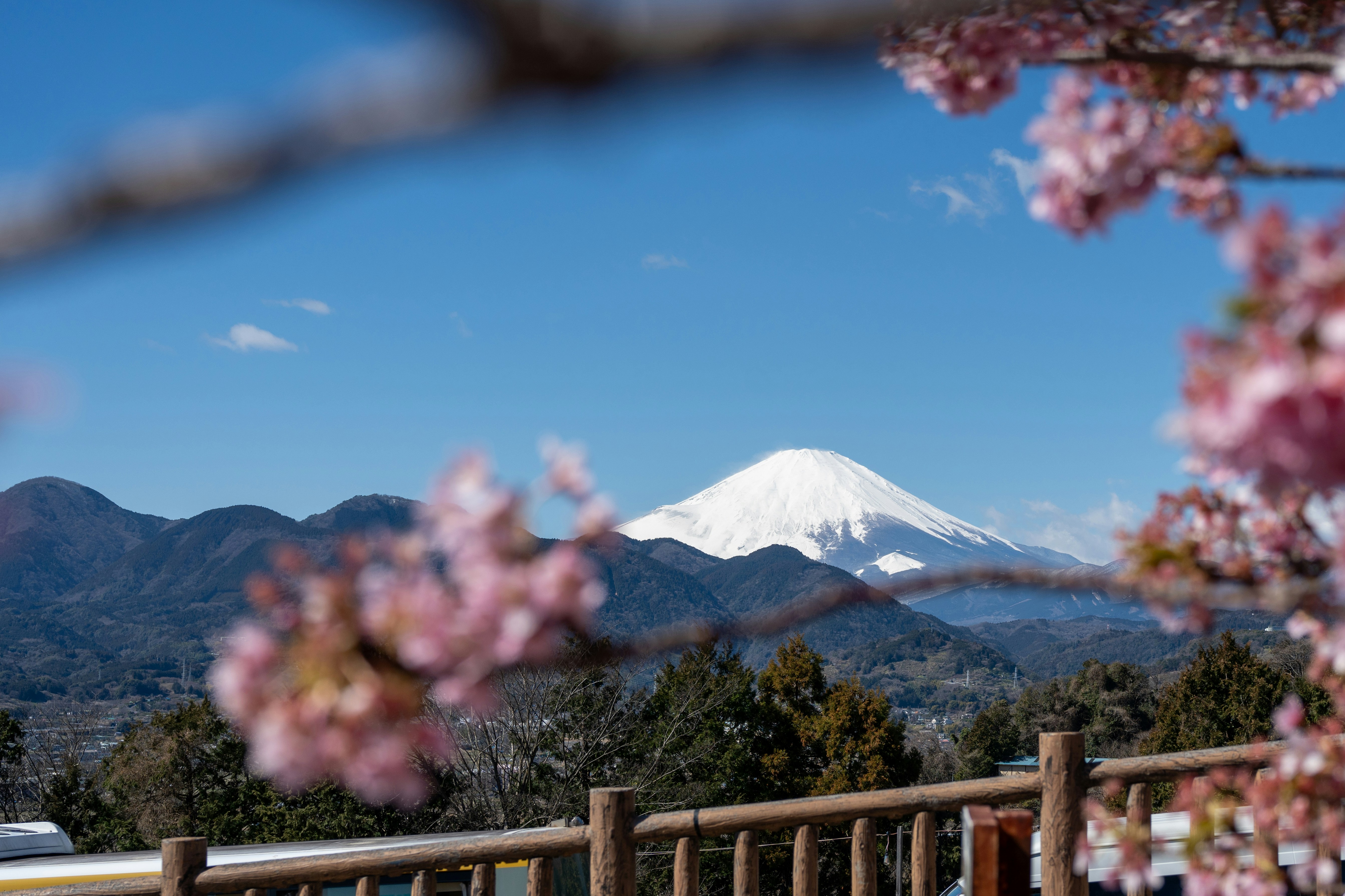 Photo by iorin