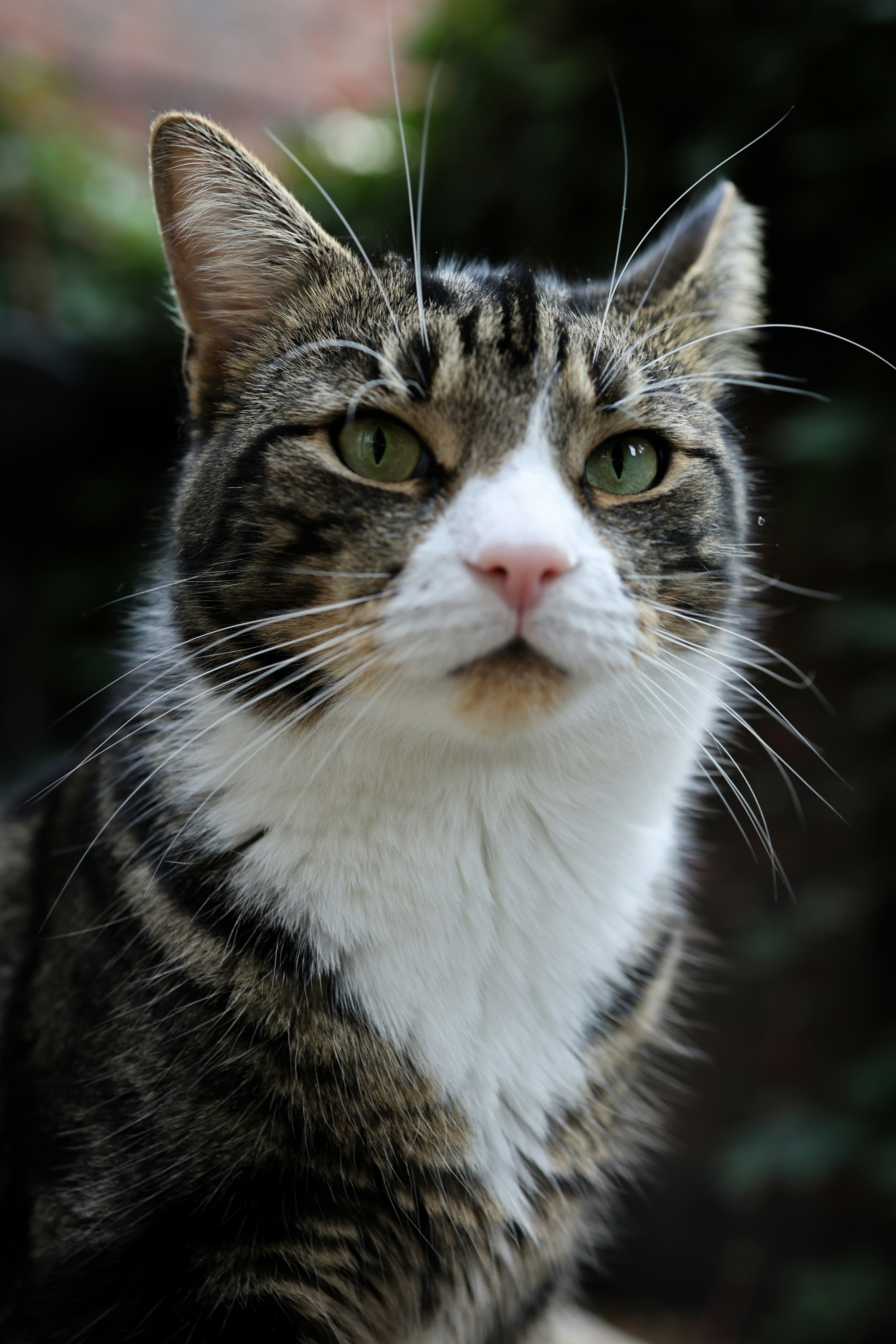 Photo by dianarafira