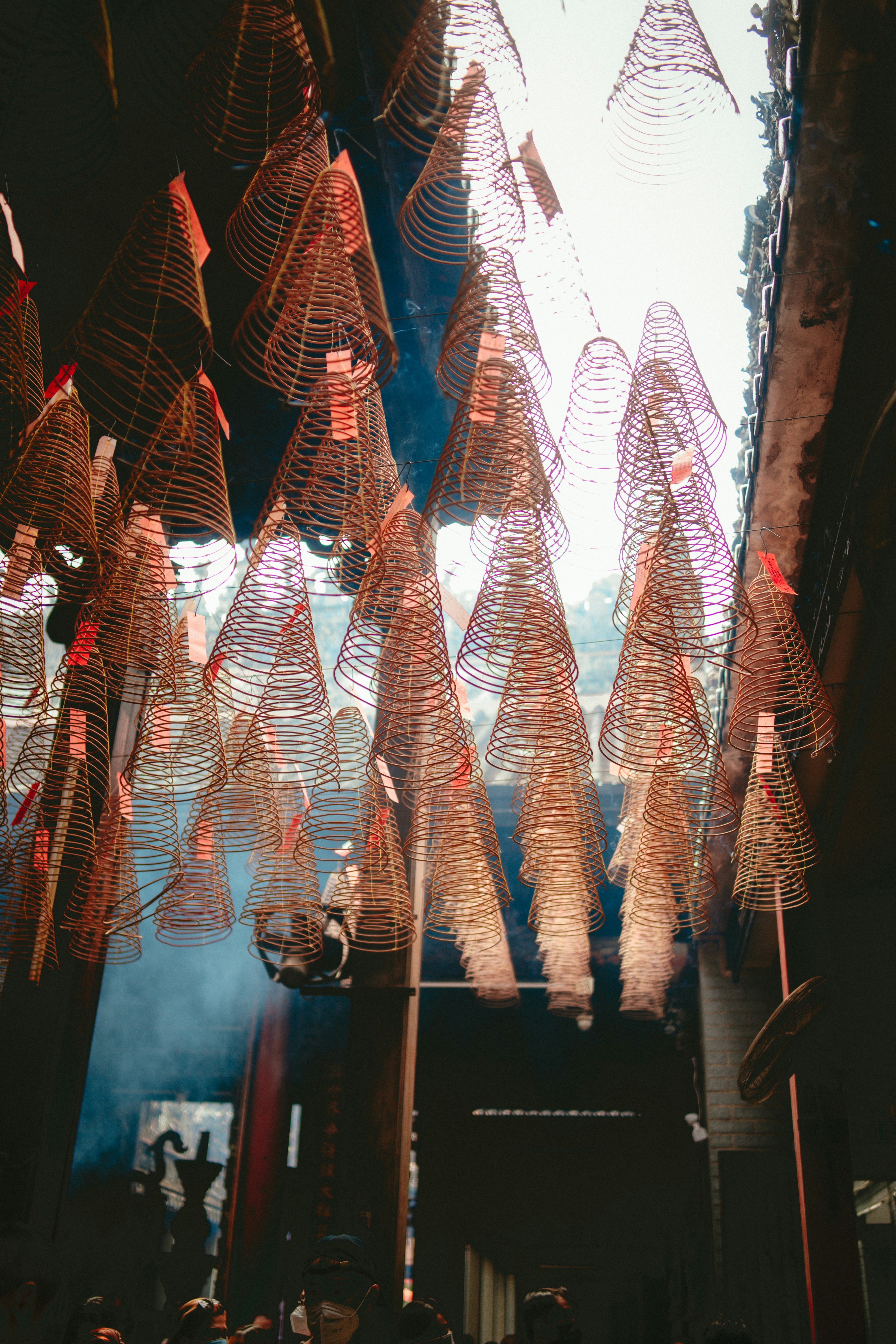 Photo by thinhngtrung