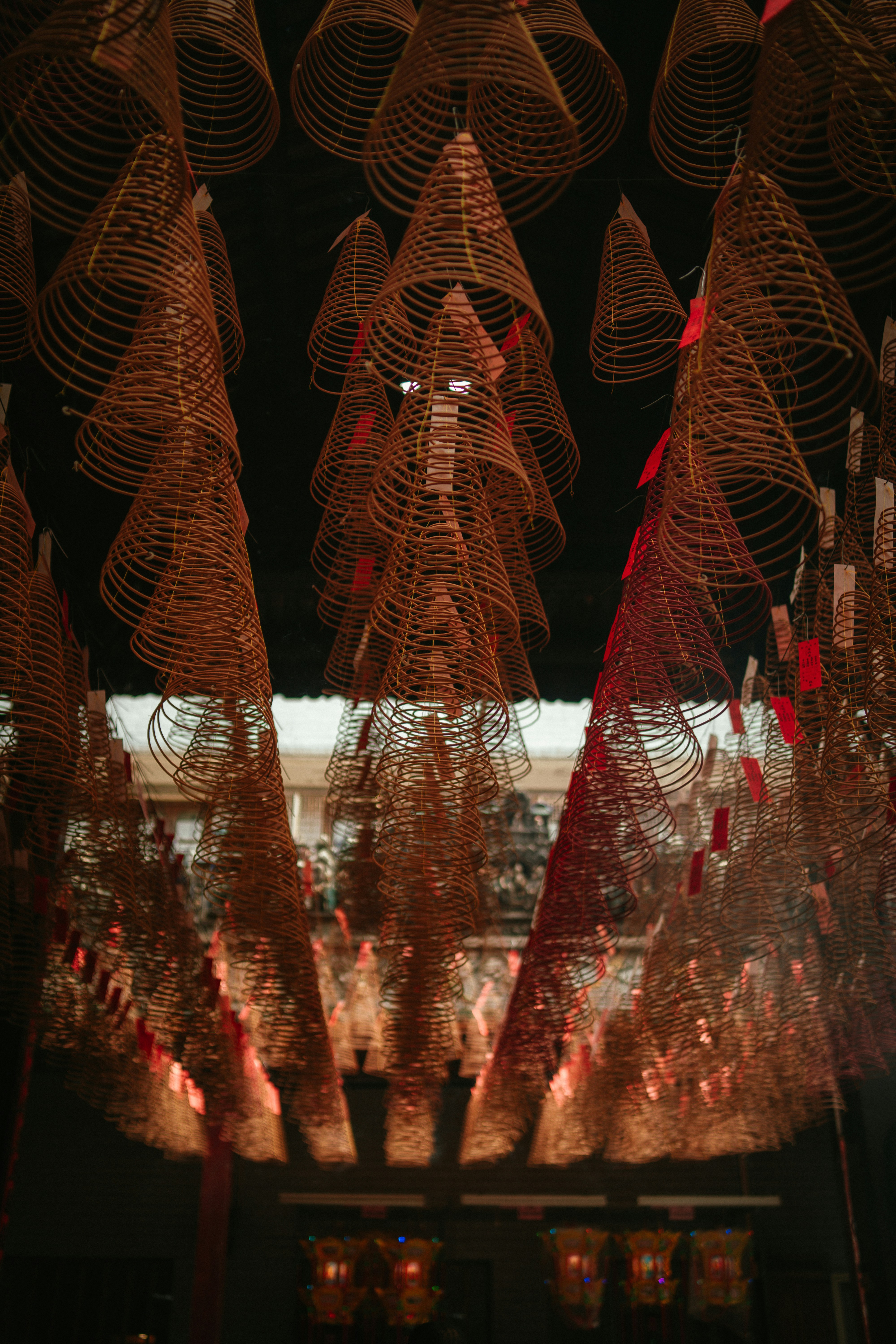 Photo by thinhngtrung