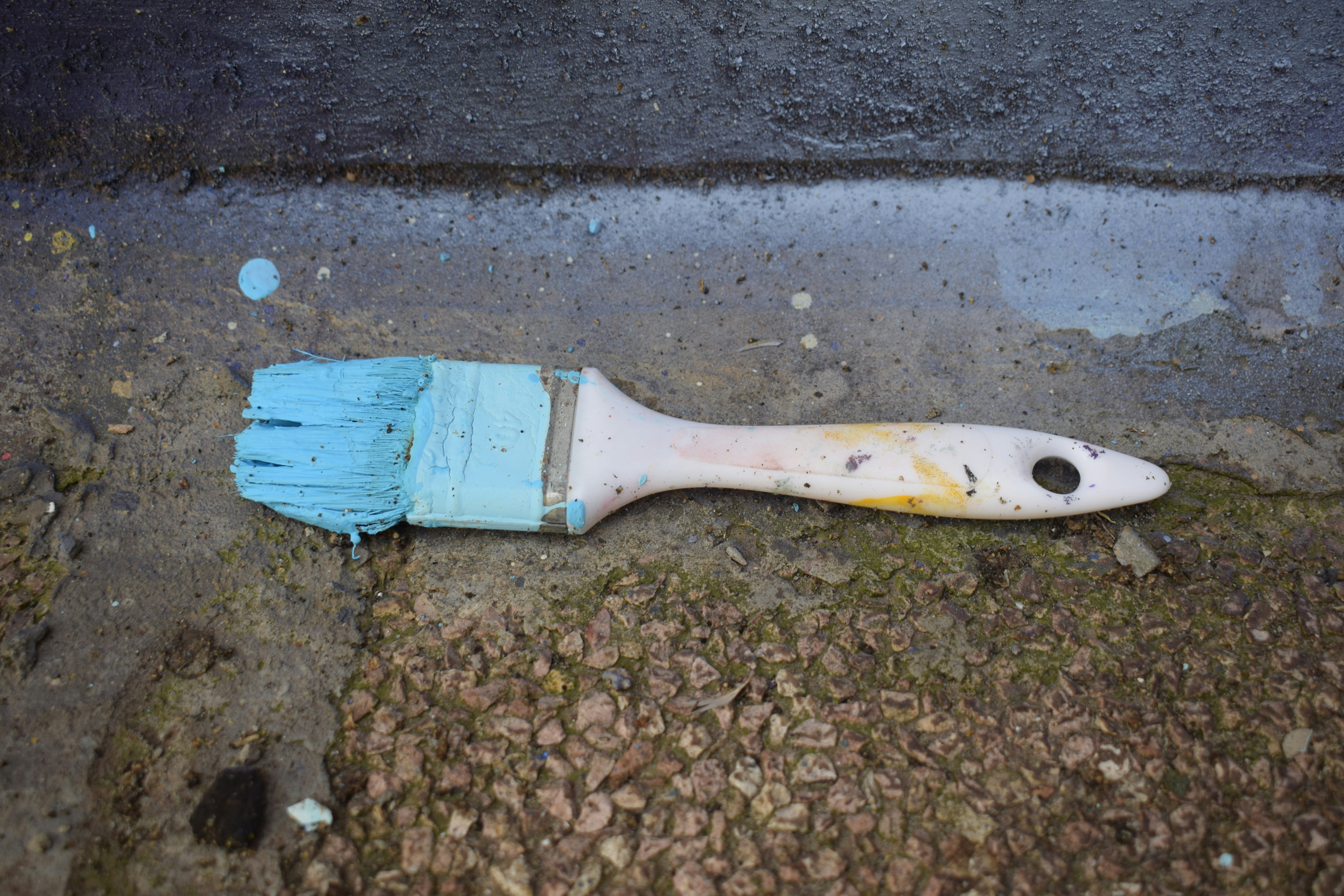 A blue and white brush laying on the ground