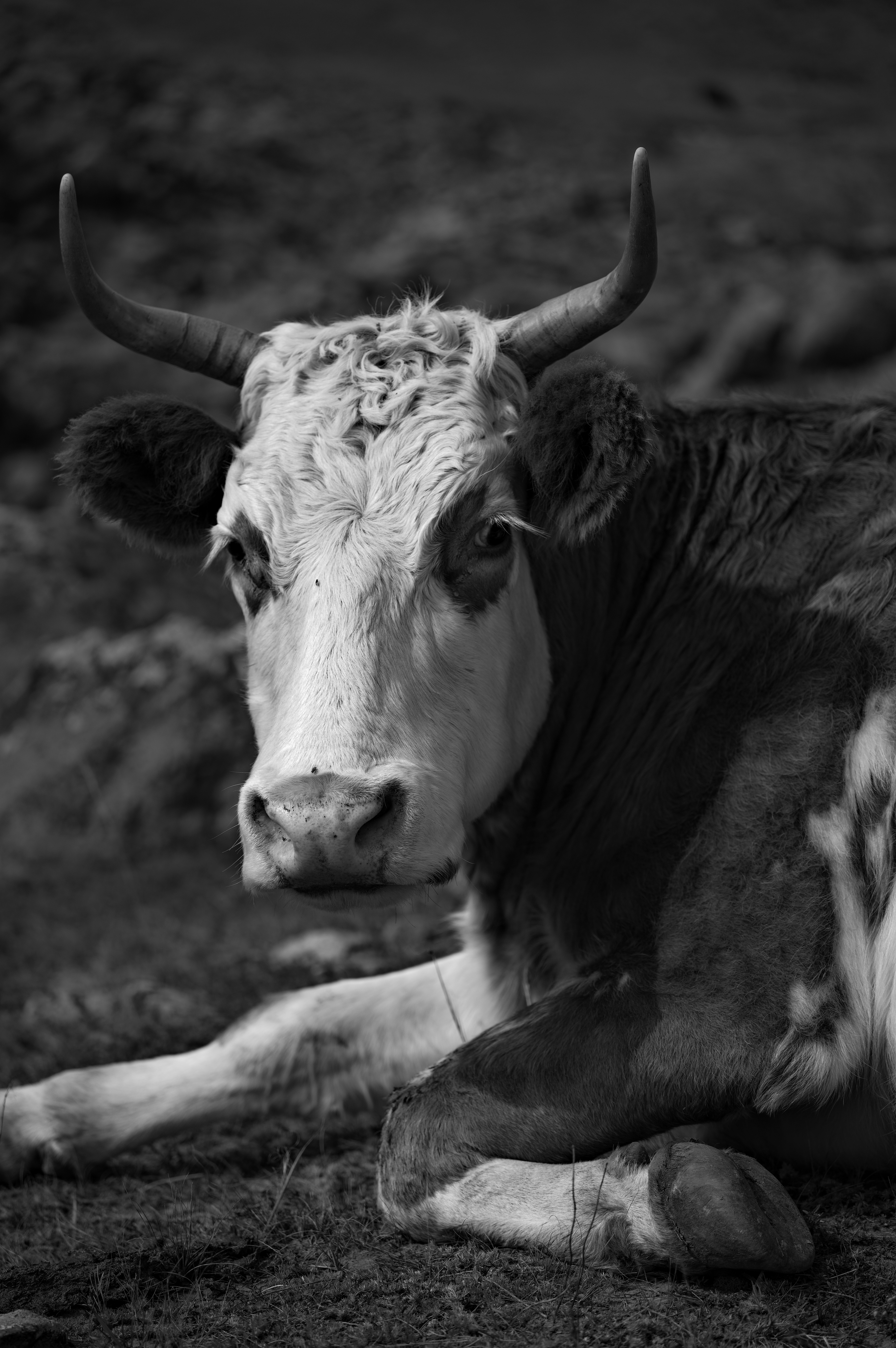 Photo by dynamicwang