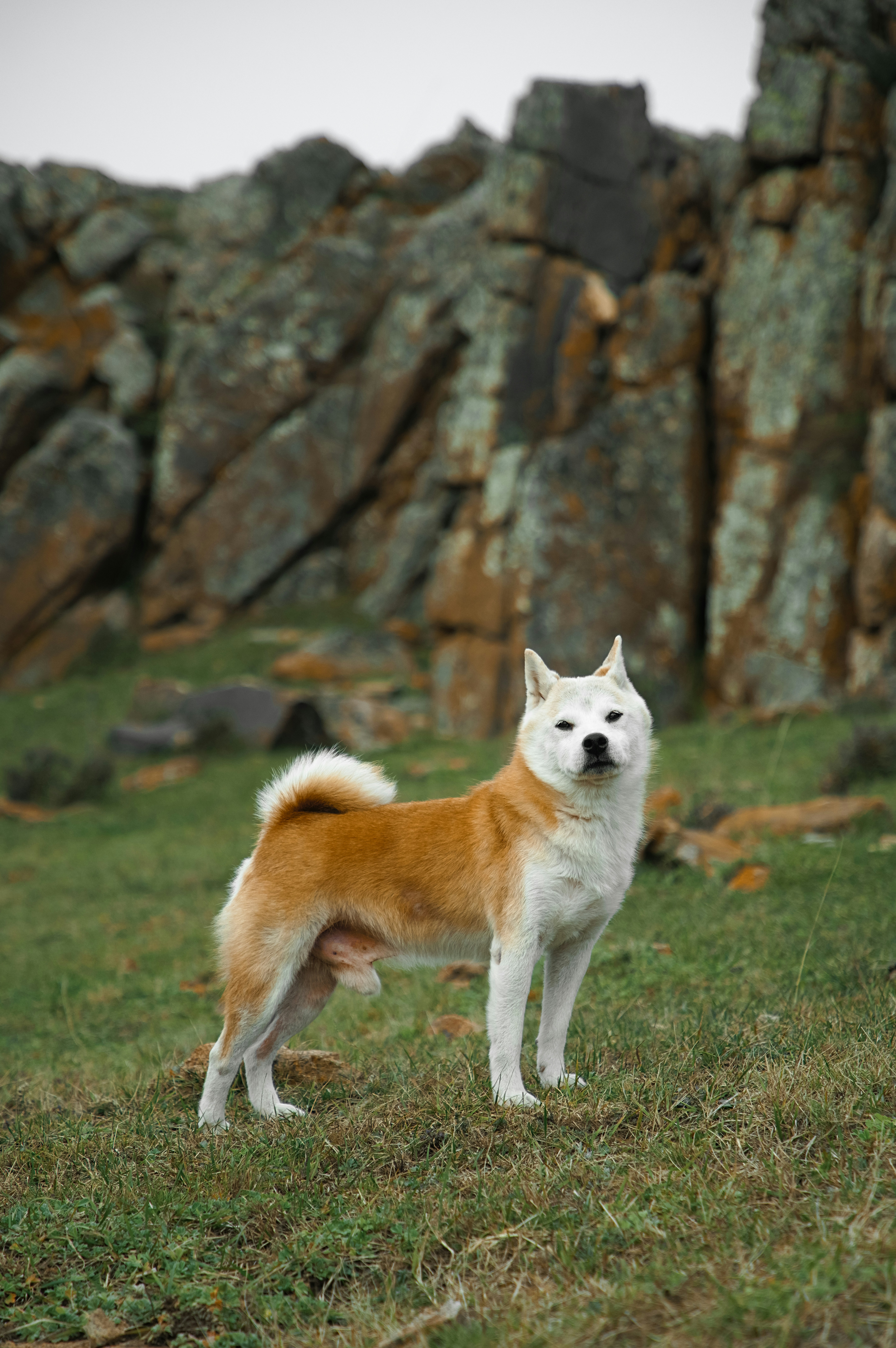 Photo by dynamicwang