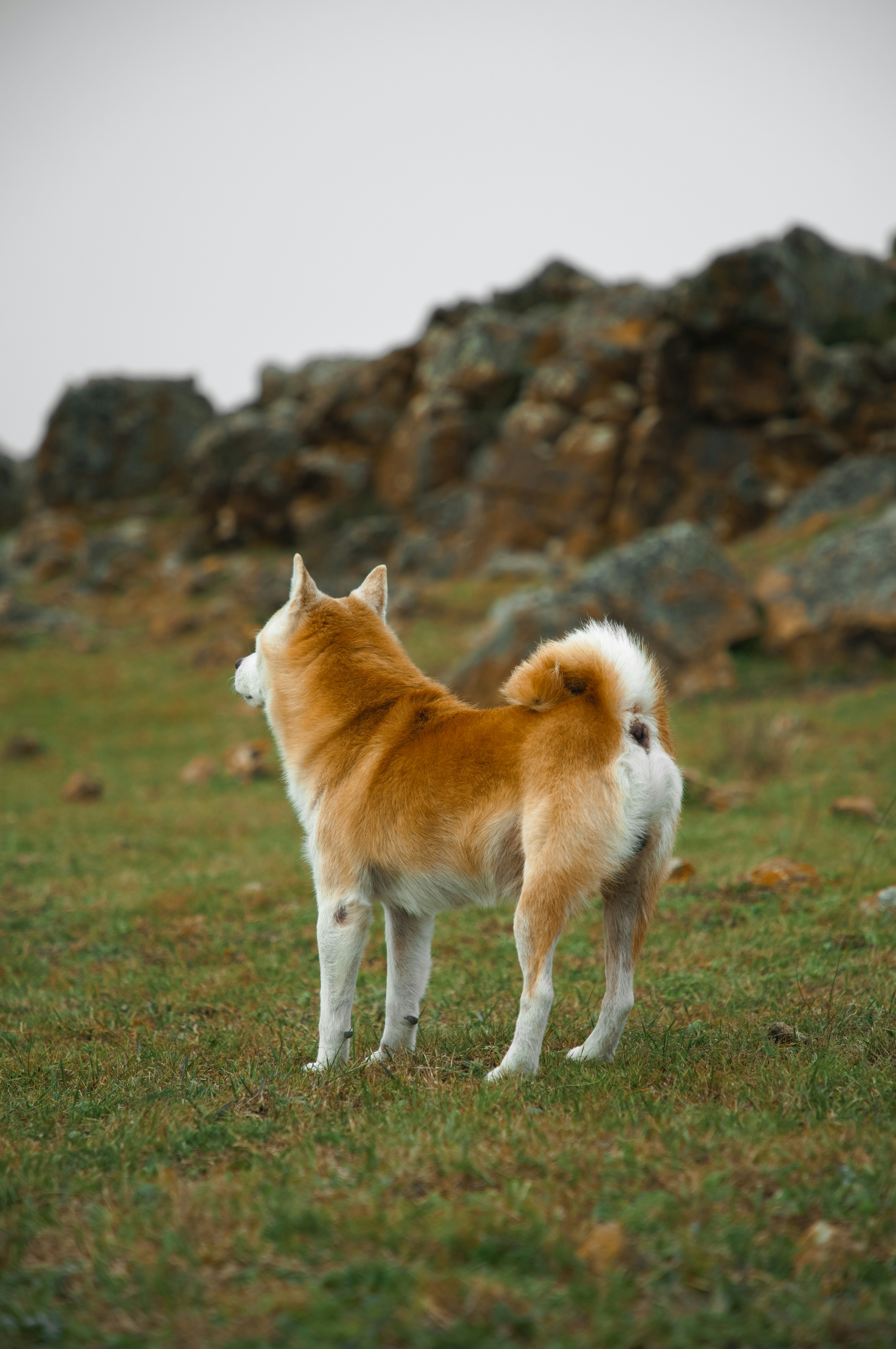 Photo by dynamicwang