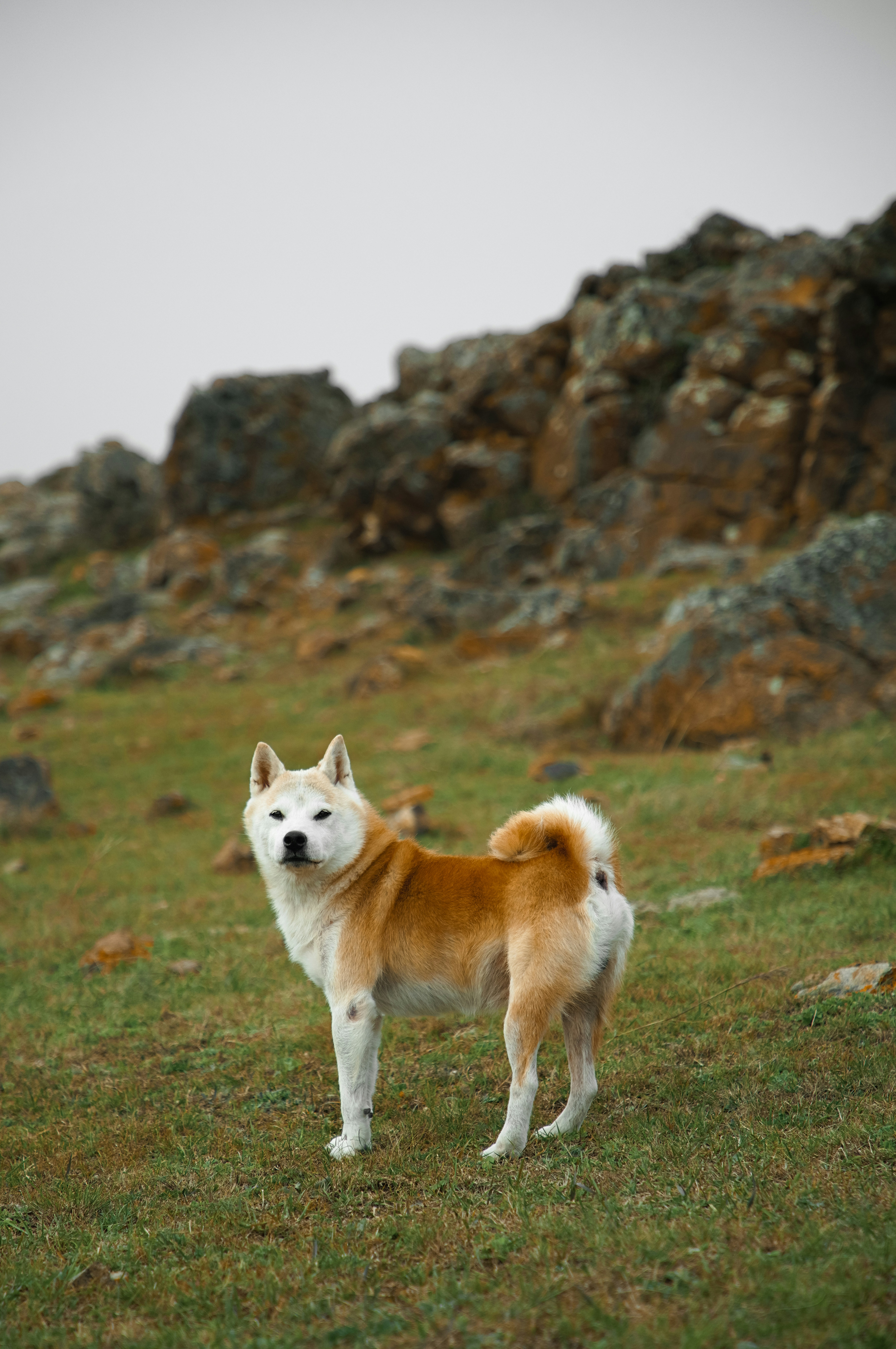 Photo by dynamicwang