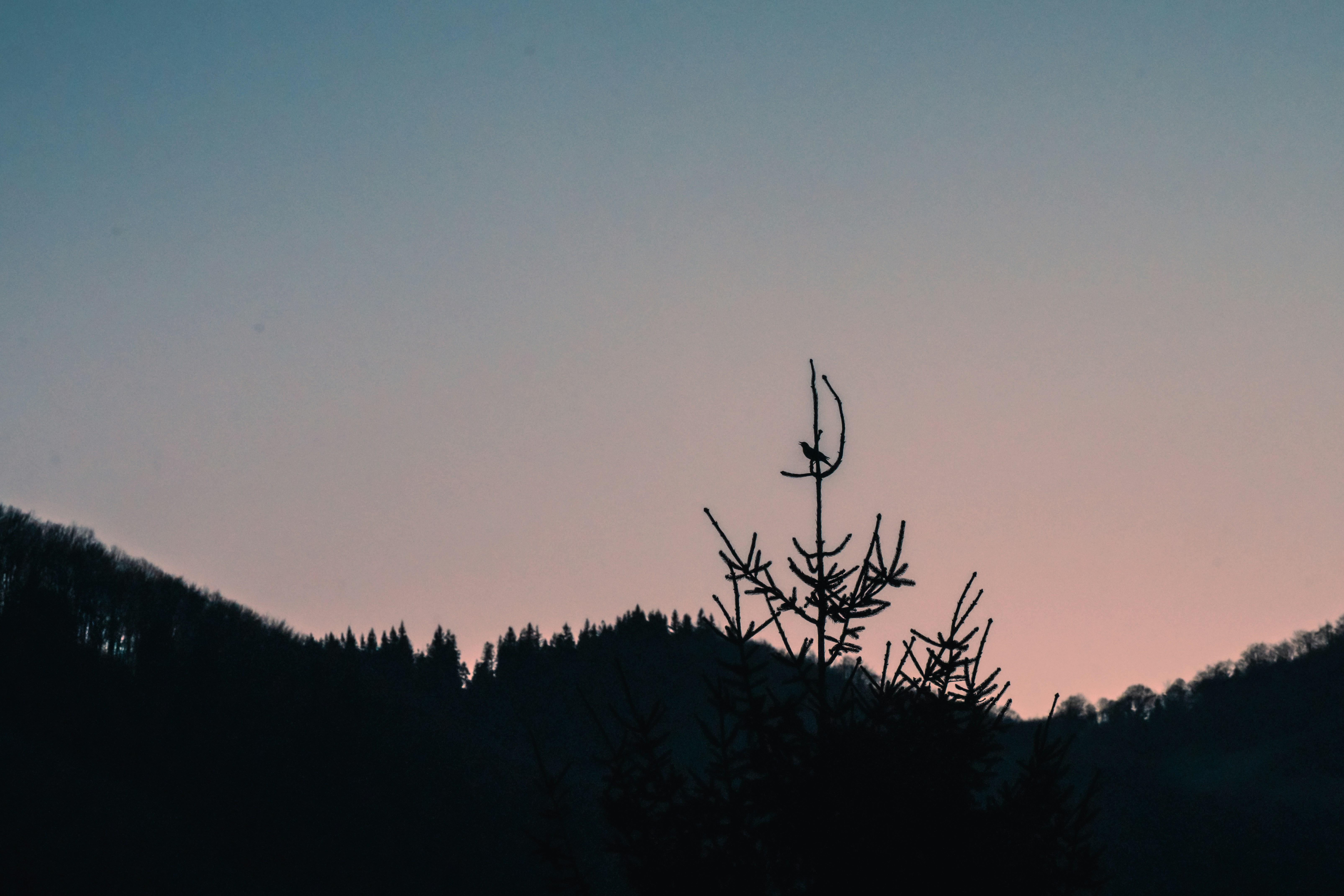 Photo by winstontjia