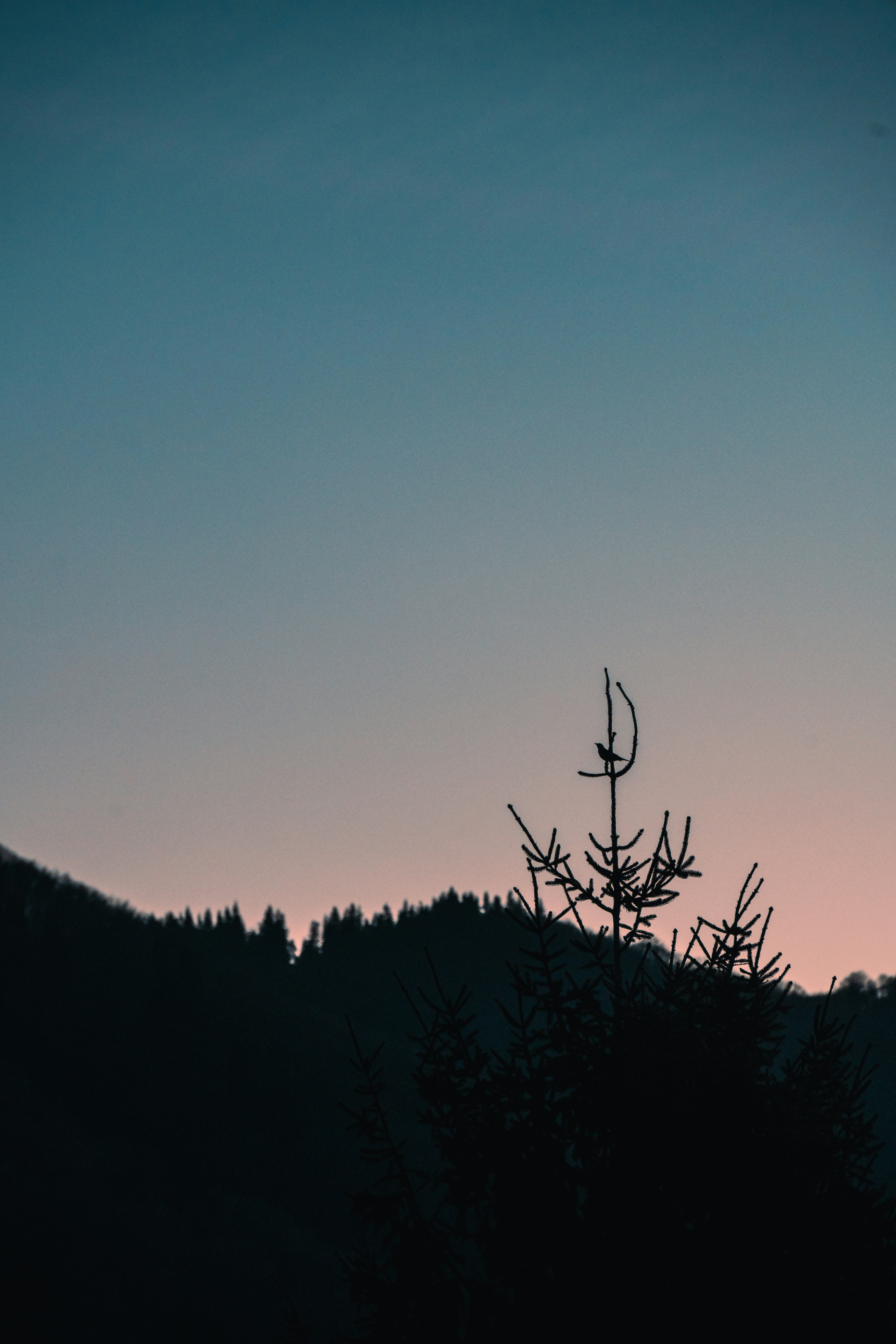 Photo by winstontjia