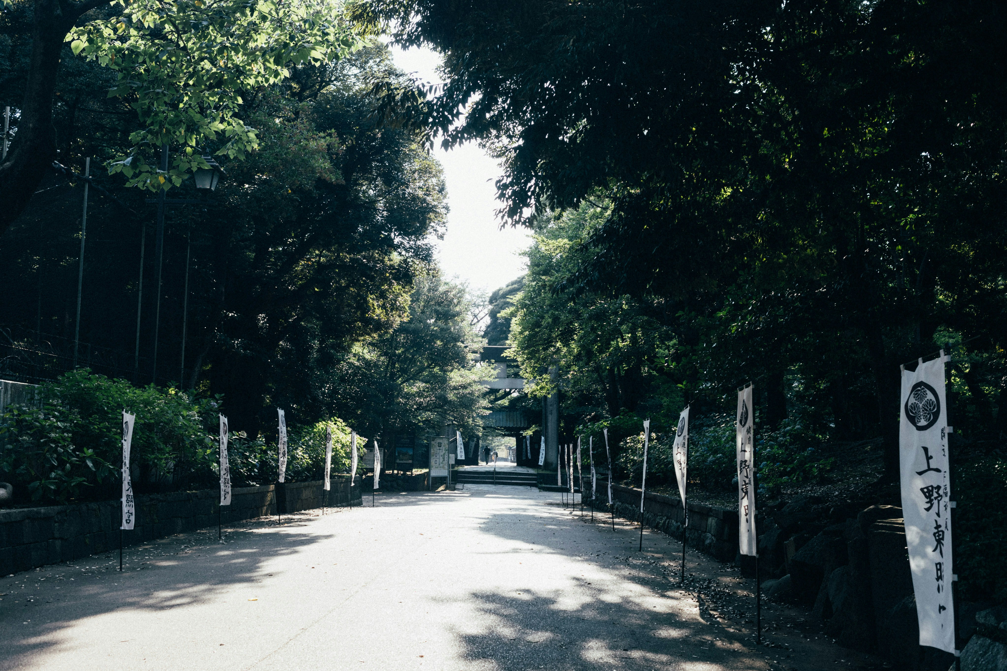 Photo by tsuyoshikozu