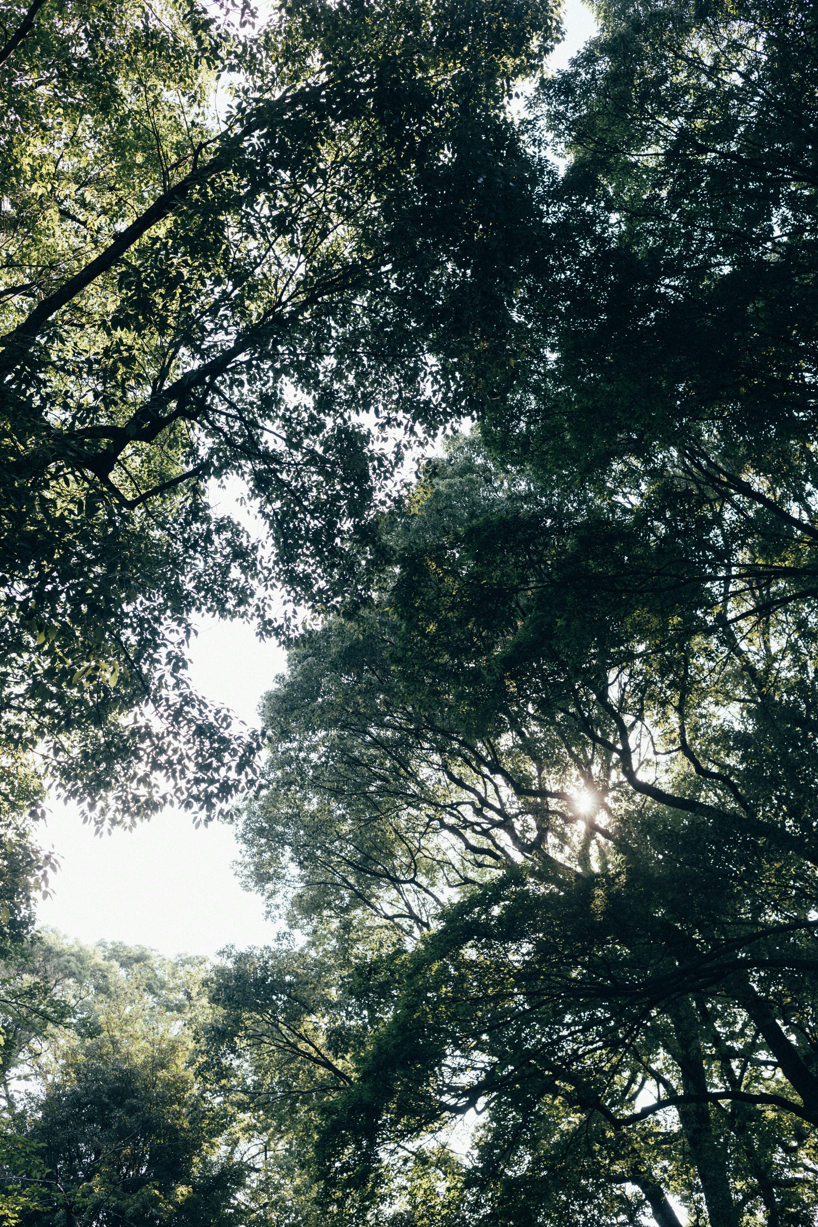 Photo by tsuyoshikozu