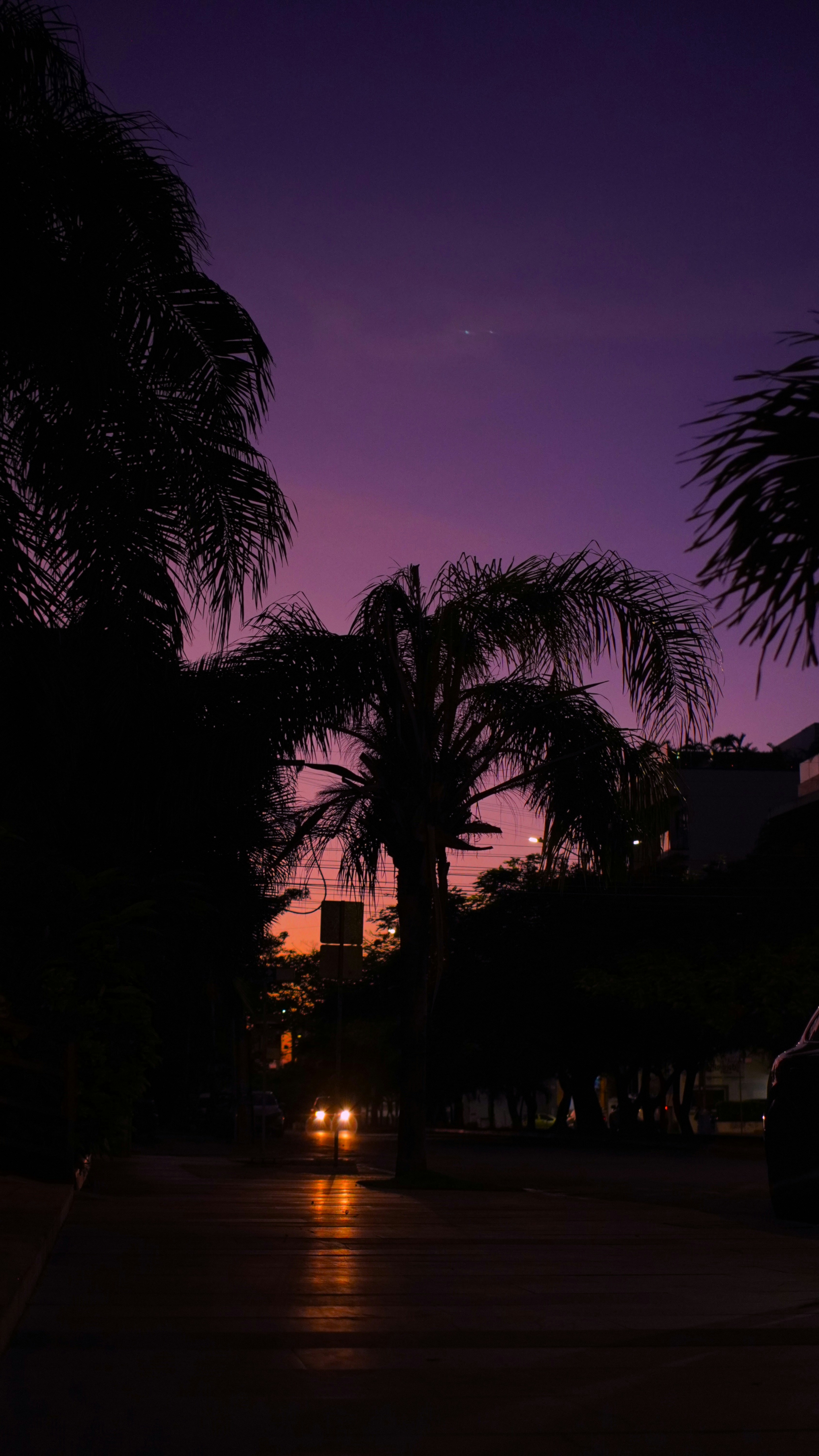 miami vice wallpaper, wallpaper, Miami Vice: The Ferrari Testarossa & Synthwave Aesthetic 1