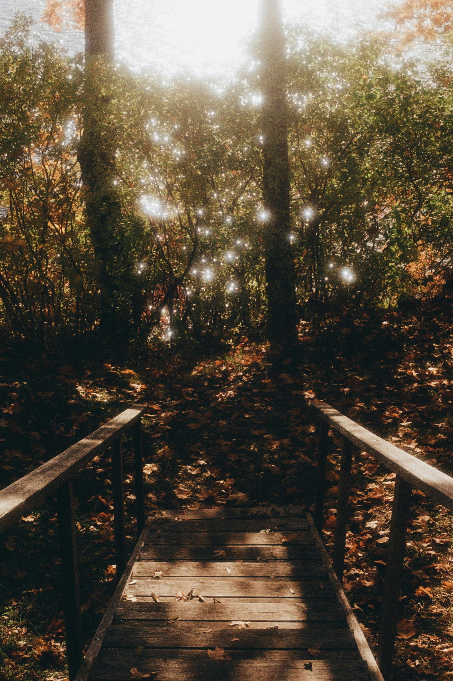 Photo by jo_negatives