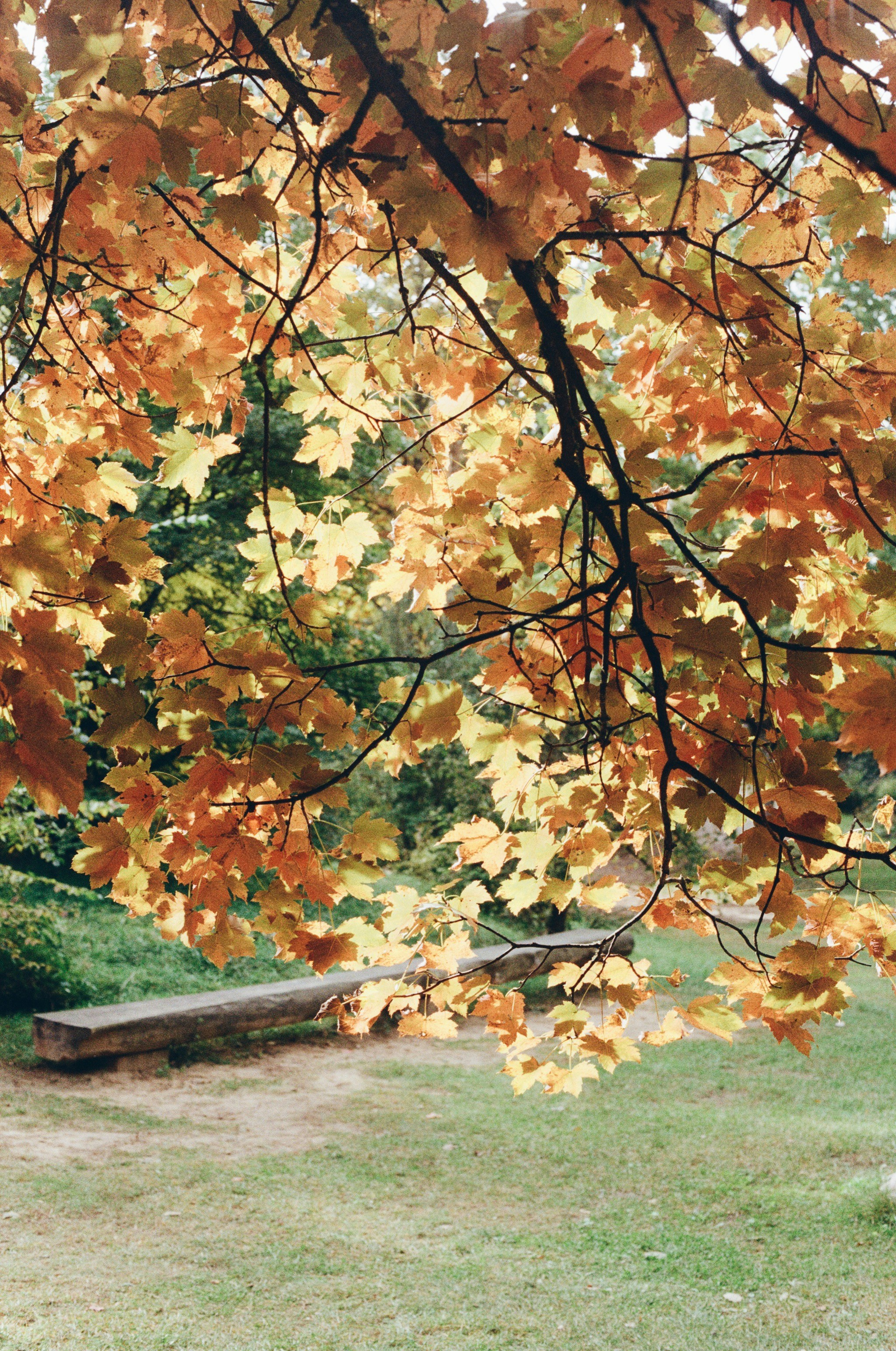 Photo by jo_negatives