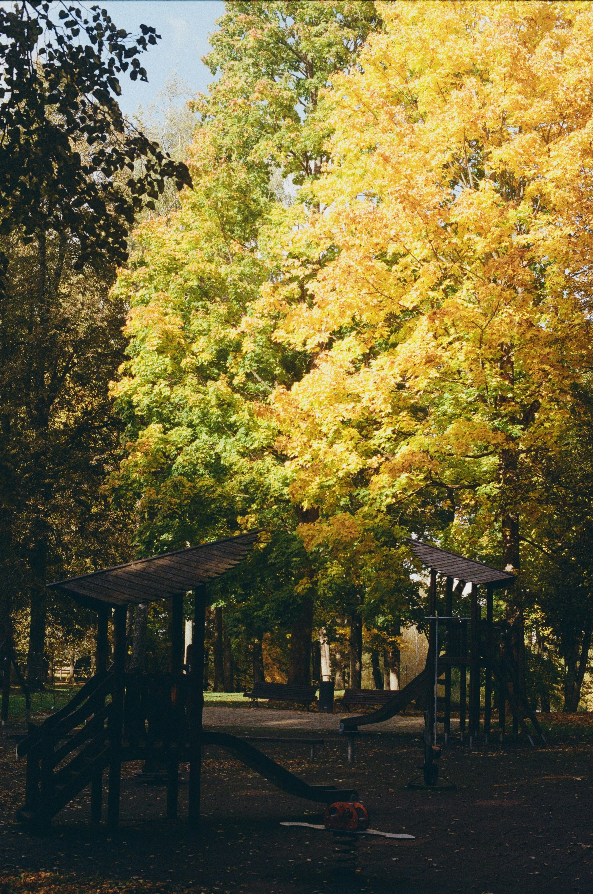 Photo by jo_negatives