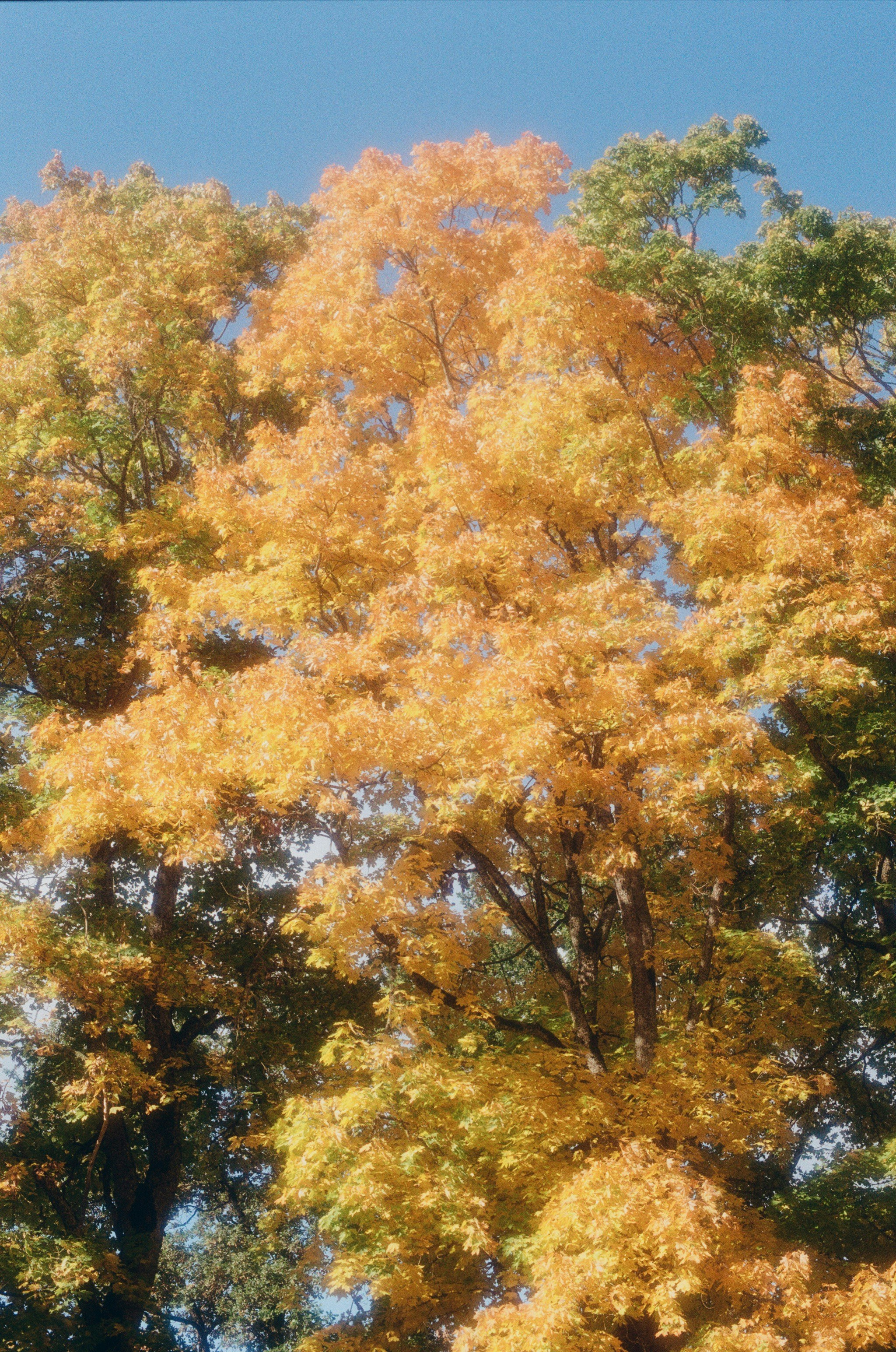 Photo by jo_negatives