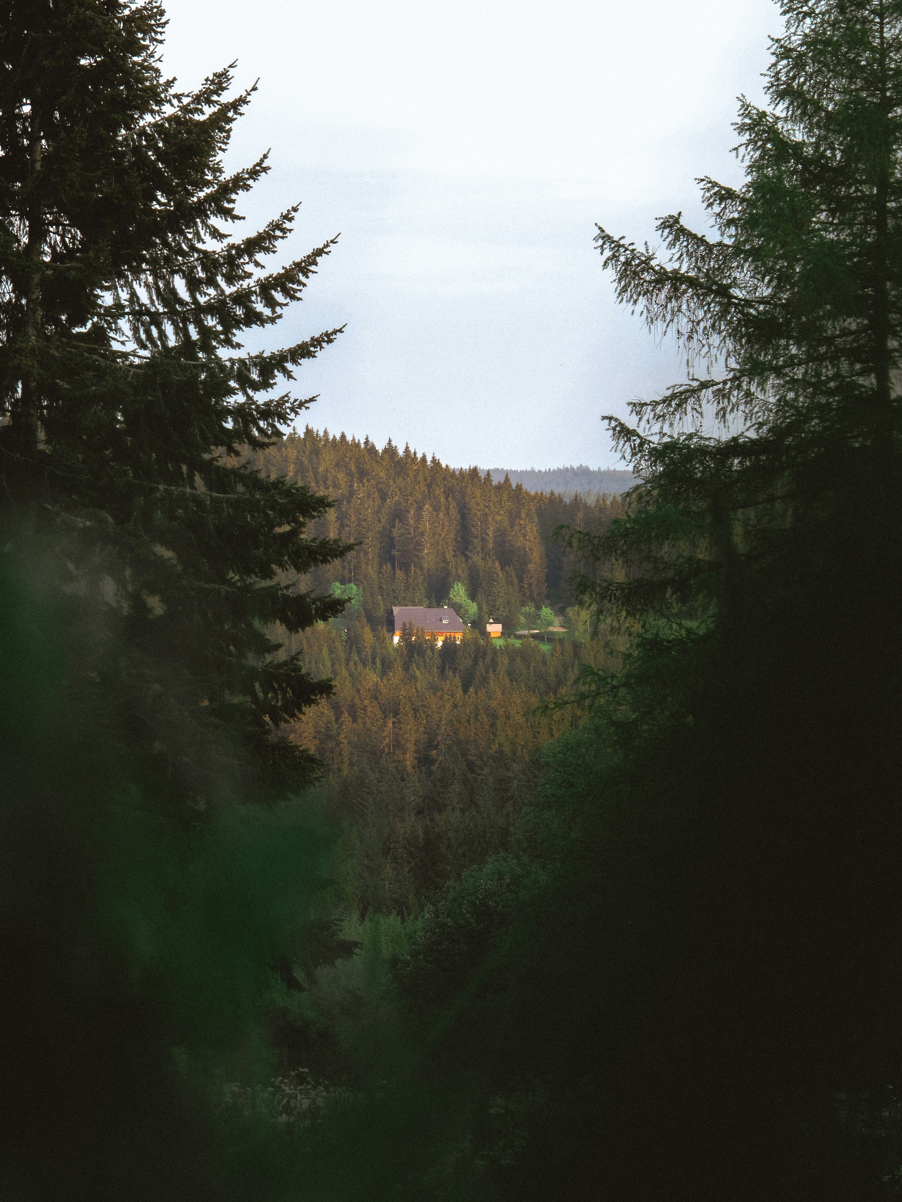 Photo by whitelist