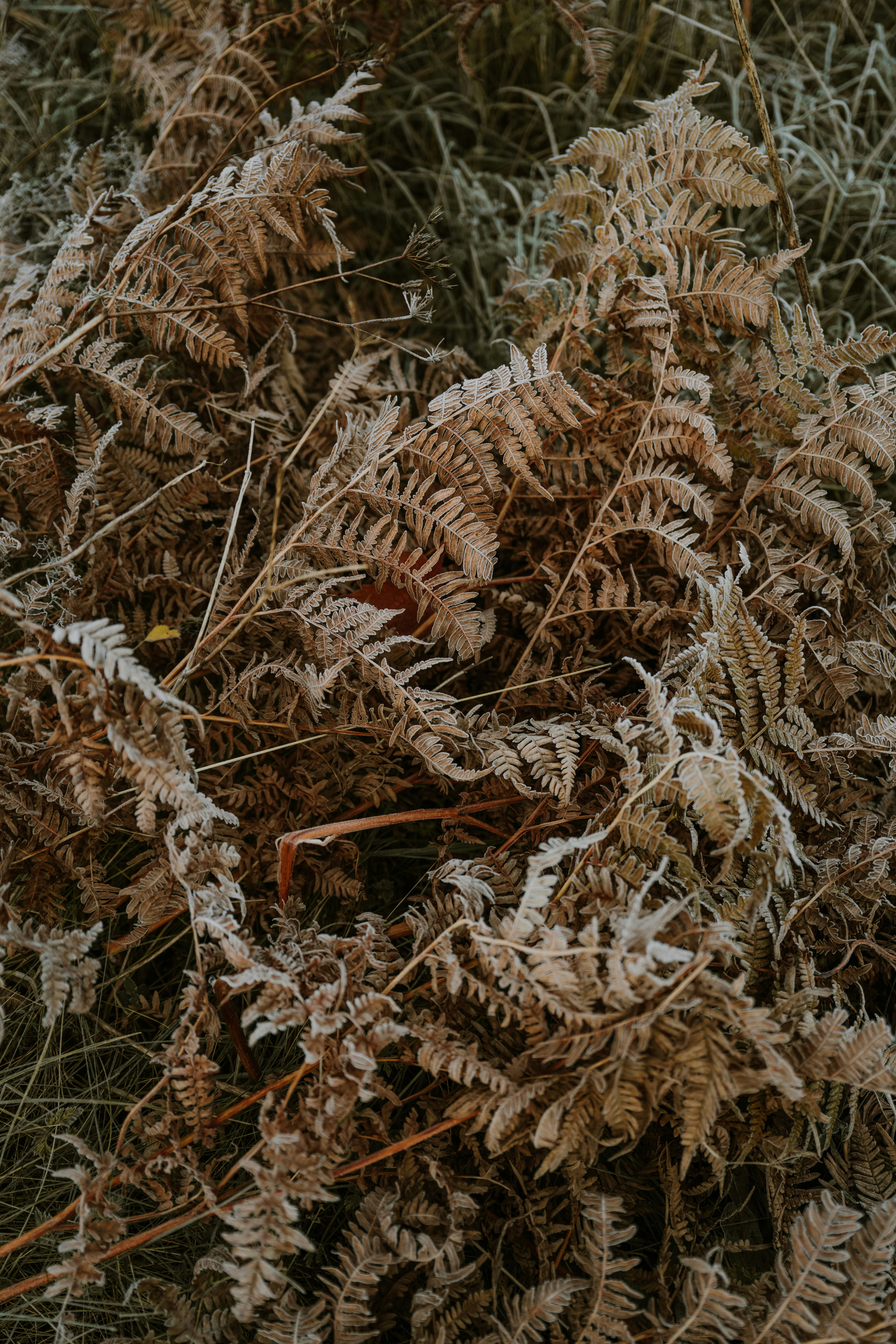 Photo by anitaaustvika