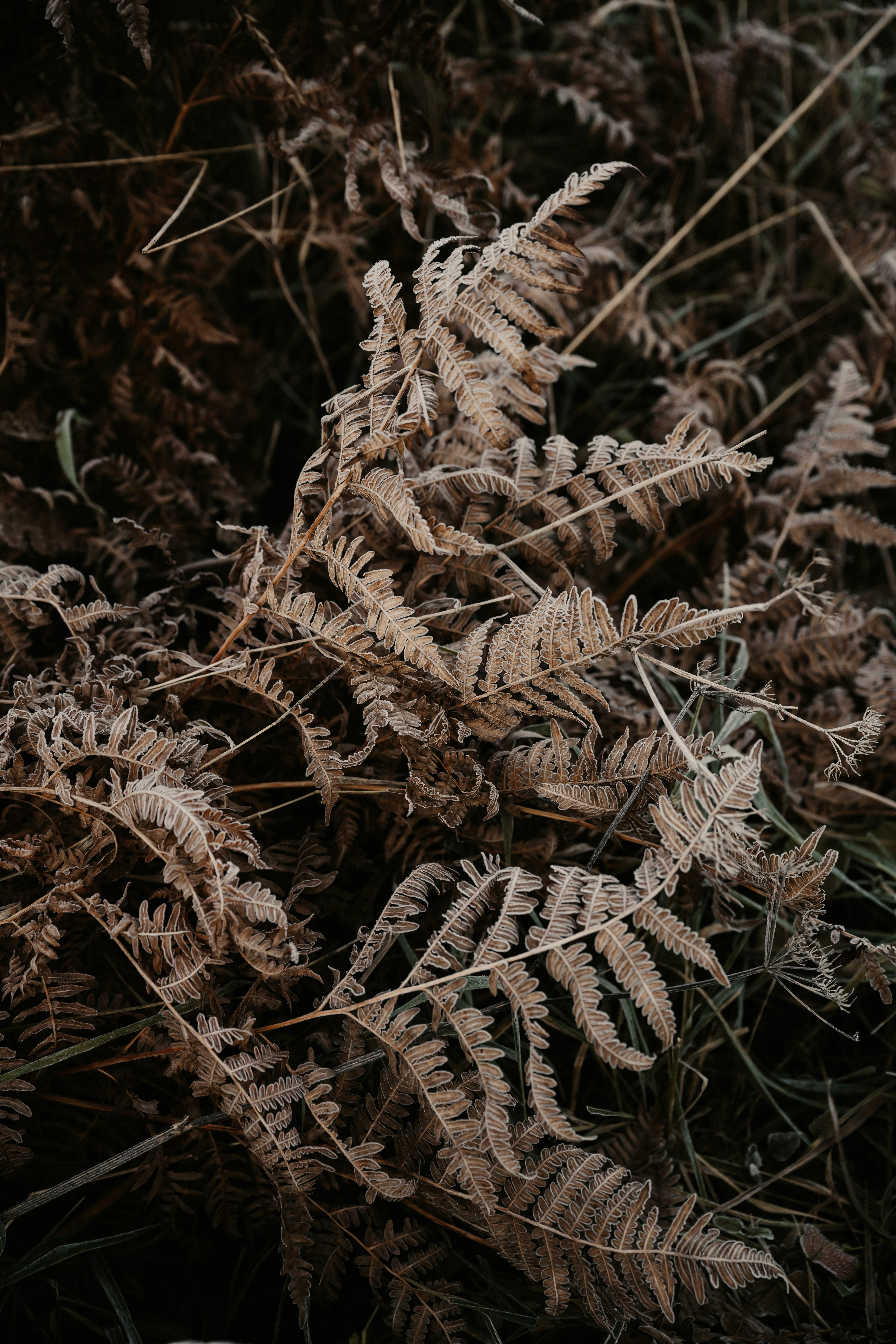 Photo by anitaaustvika