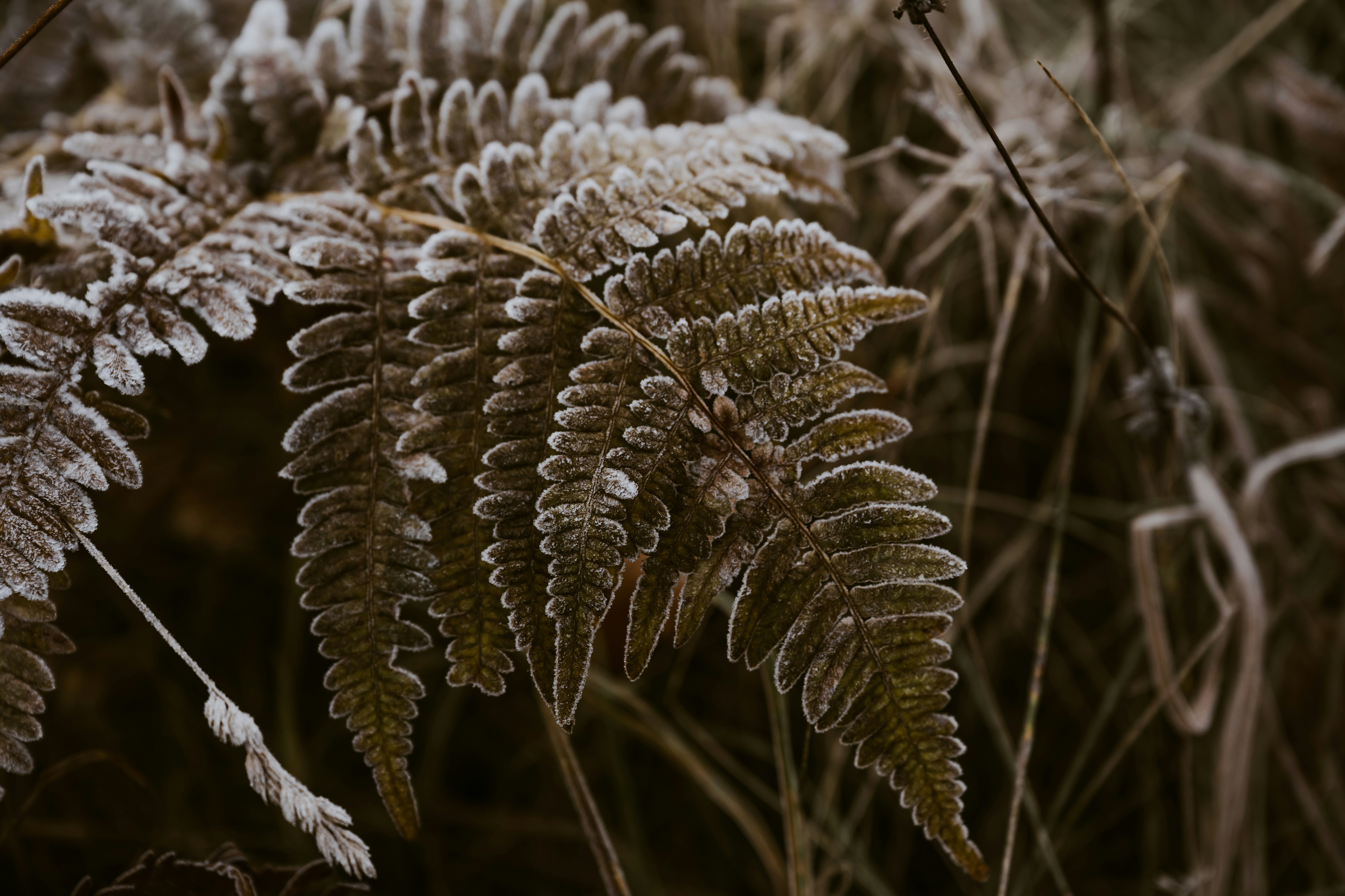 Photo by anitaaustvika