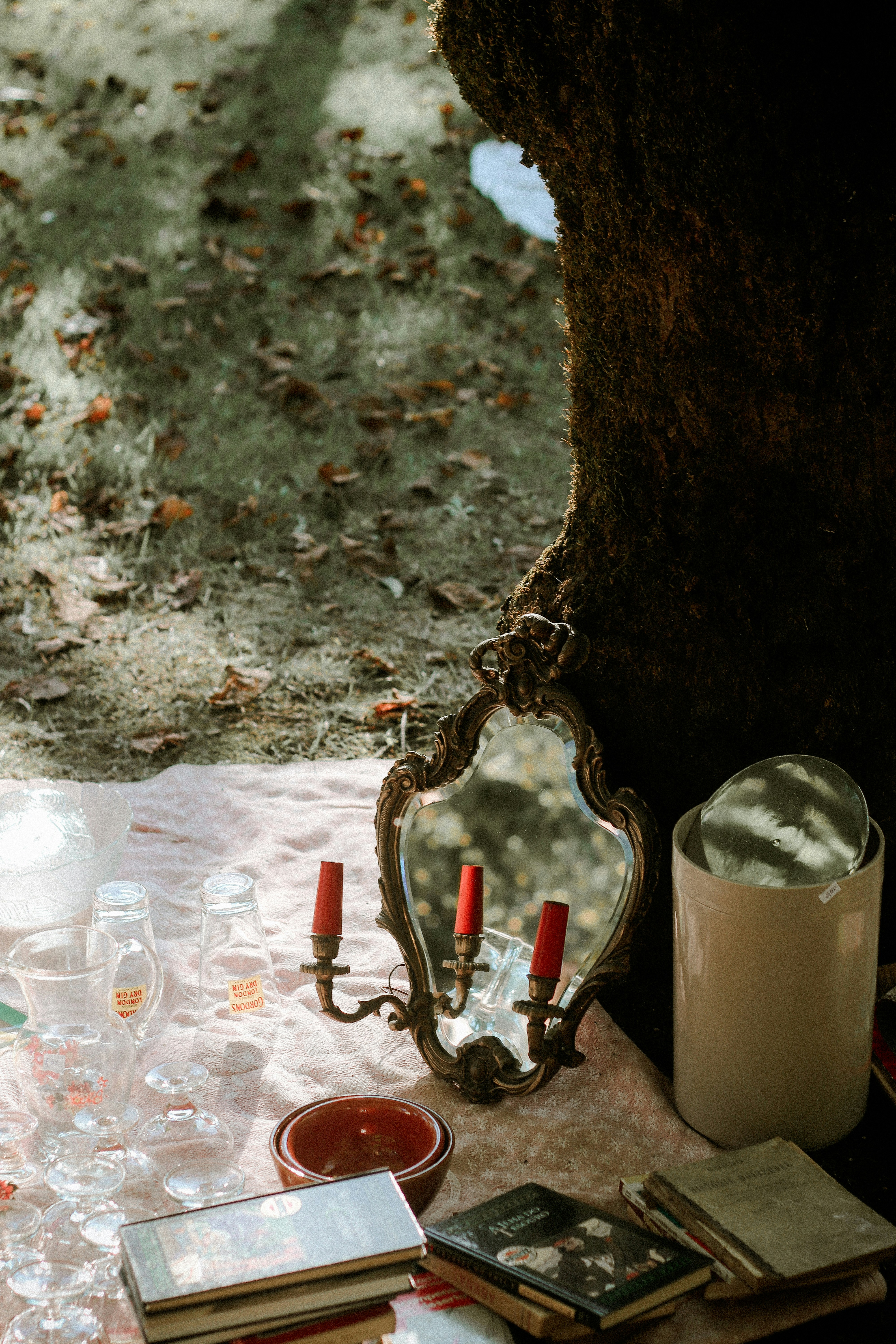 A table topped with books and candles next to a tree