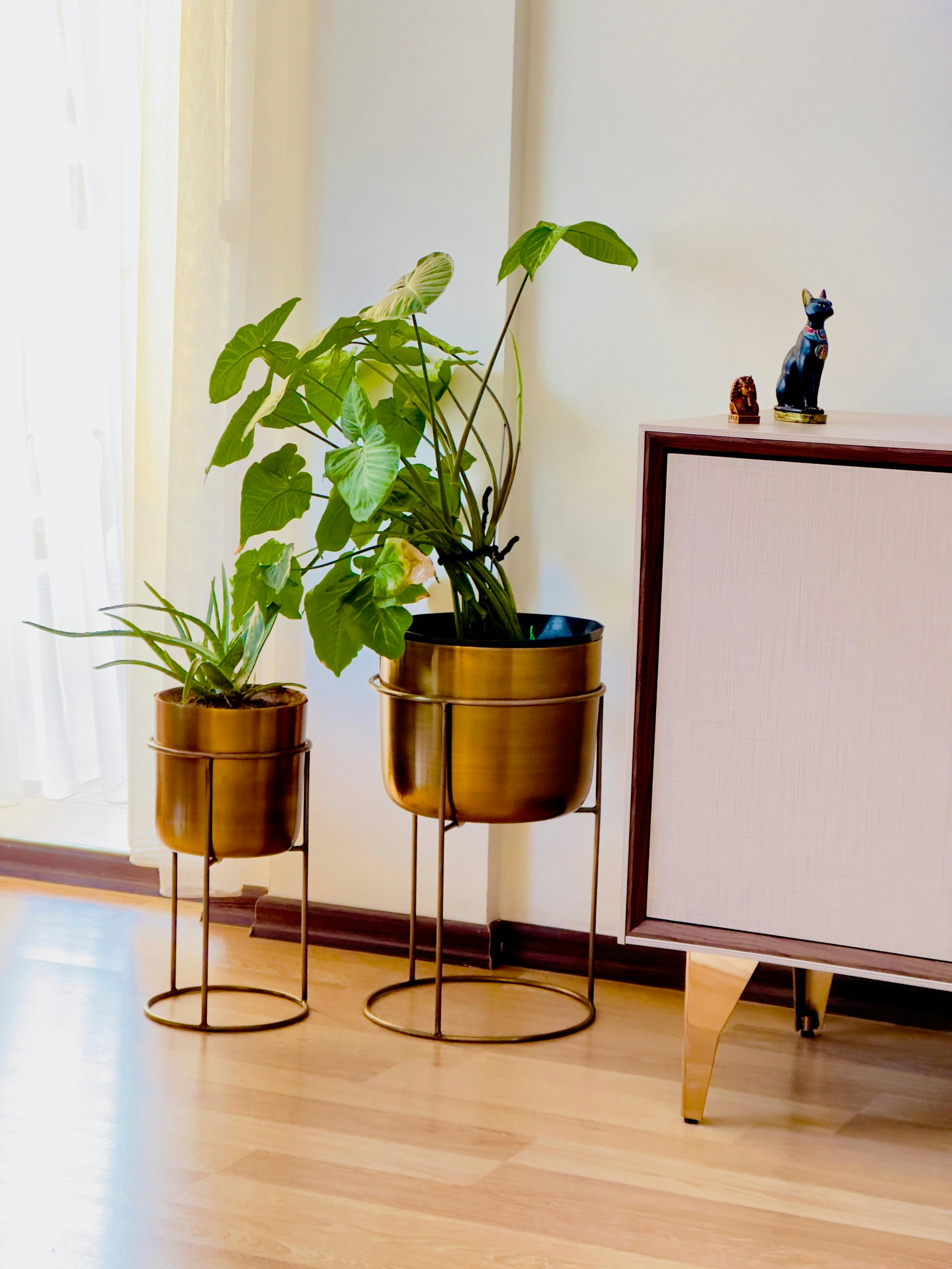 Photo by airfoil_ofo