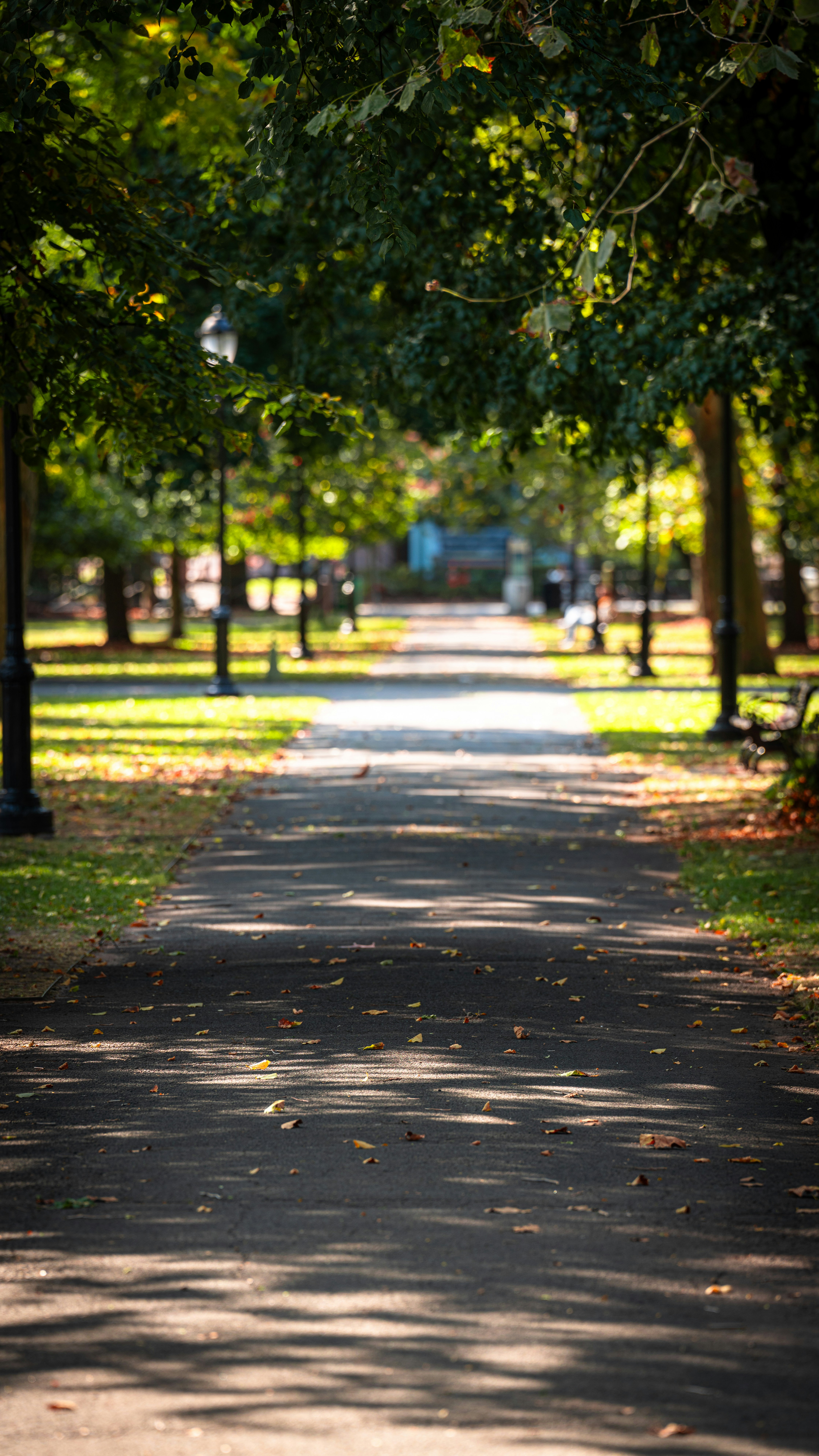 Photo by oculareuphoria