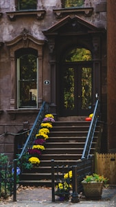 A building with a bunch of flowers on the steps