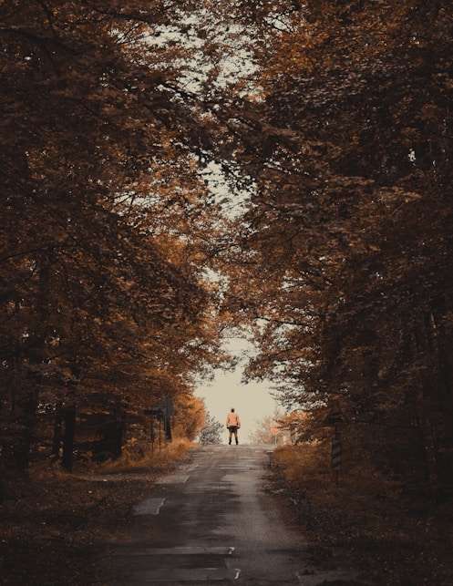 A person standing in the middle of a road surrounded by trees