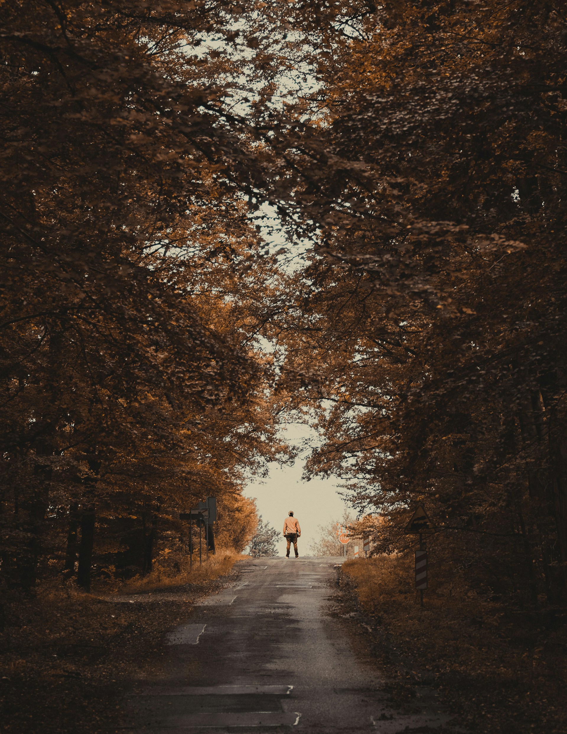 A person standing in the middle of a road surrounded by trees