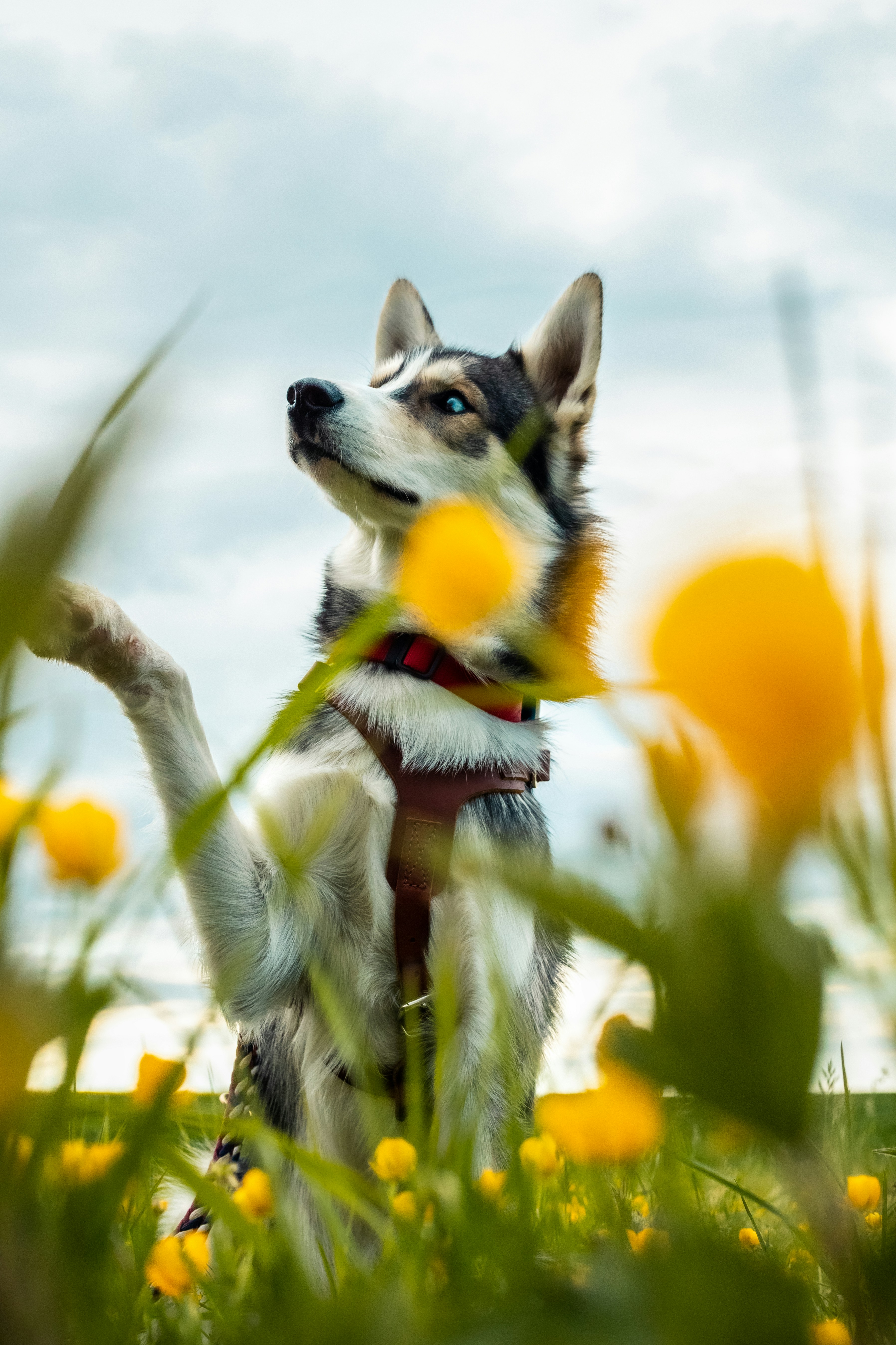 Photo by sophia_marlena