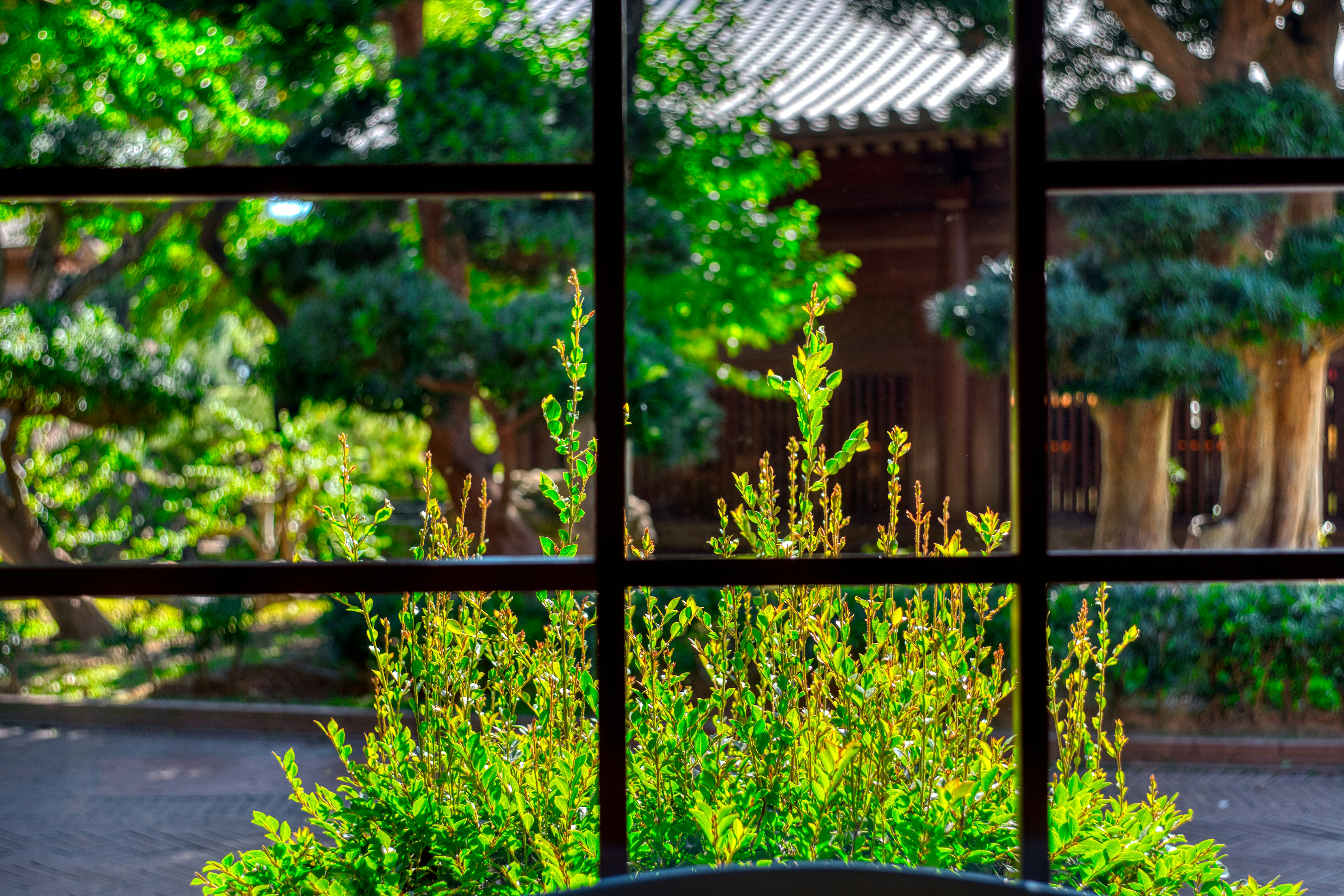 Photo by thomaskinto