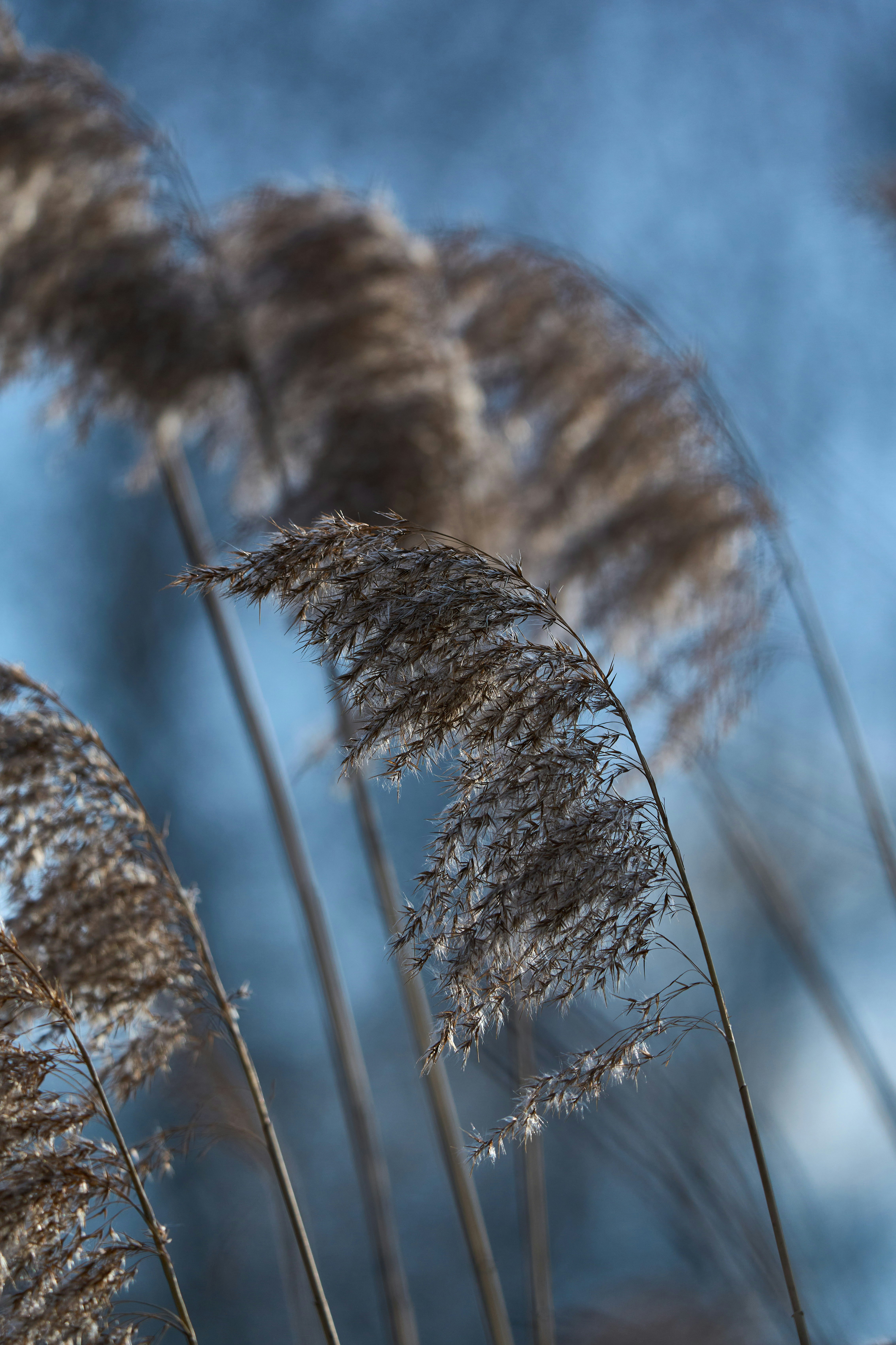 Photo by wolfgang_hasselmann