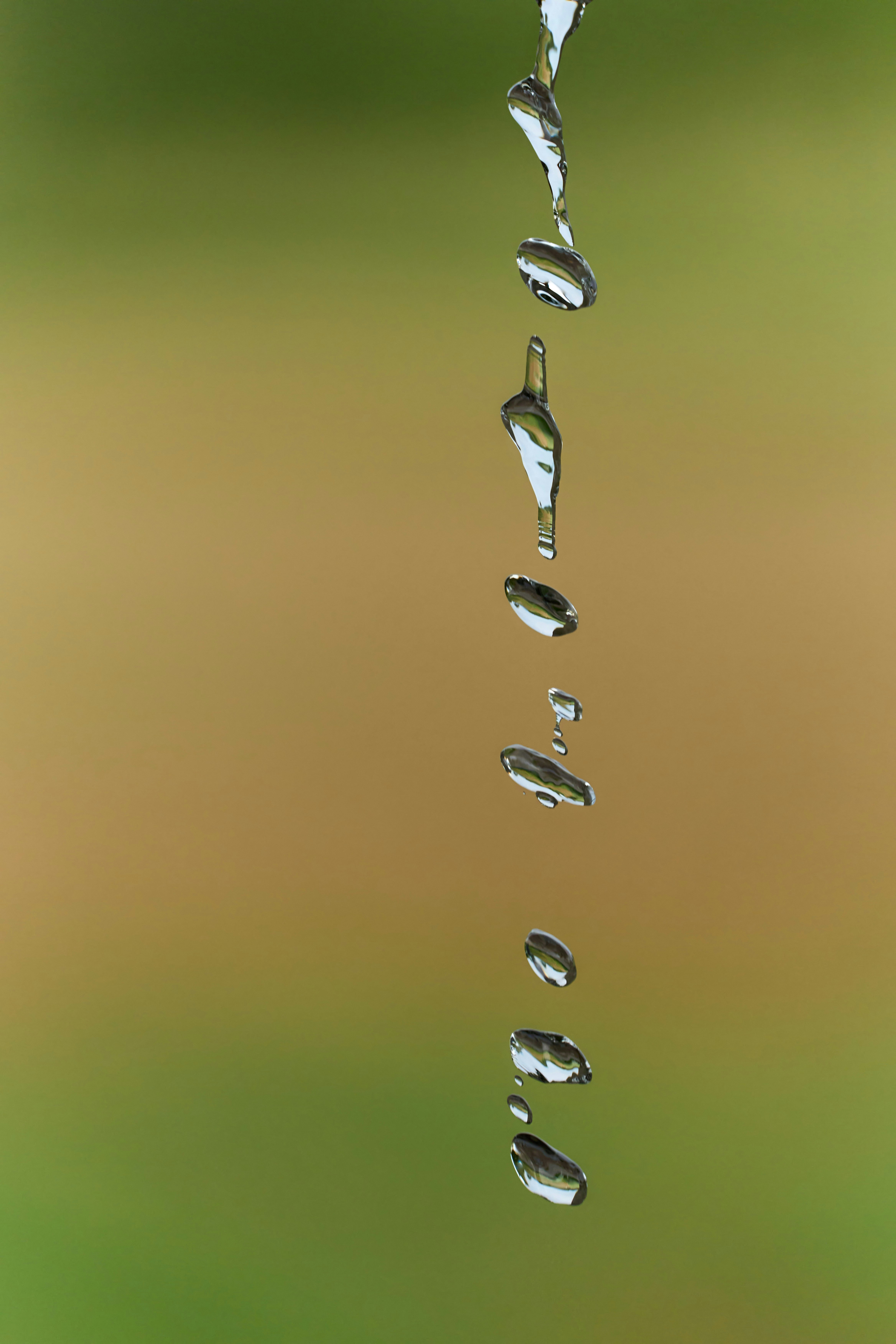 Photo by wolfgang_hasselmann