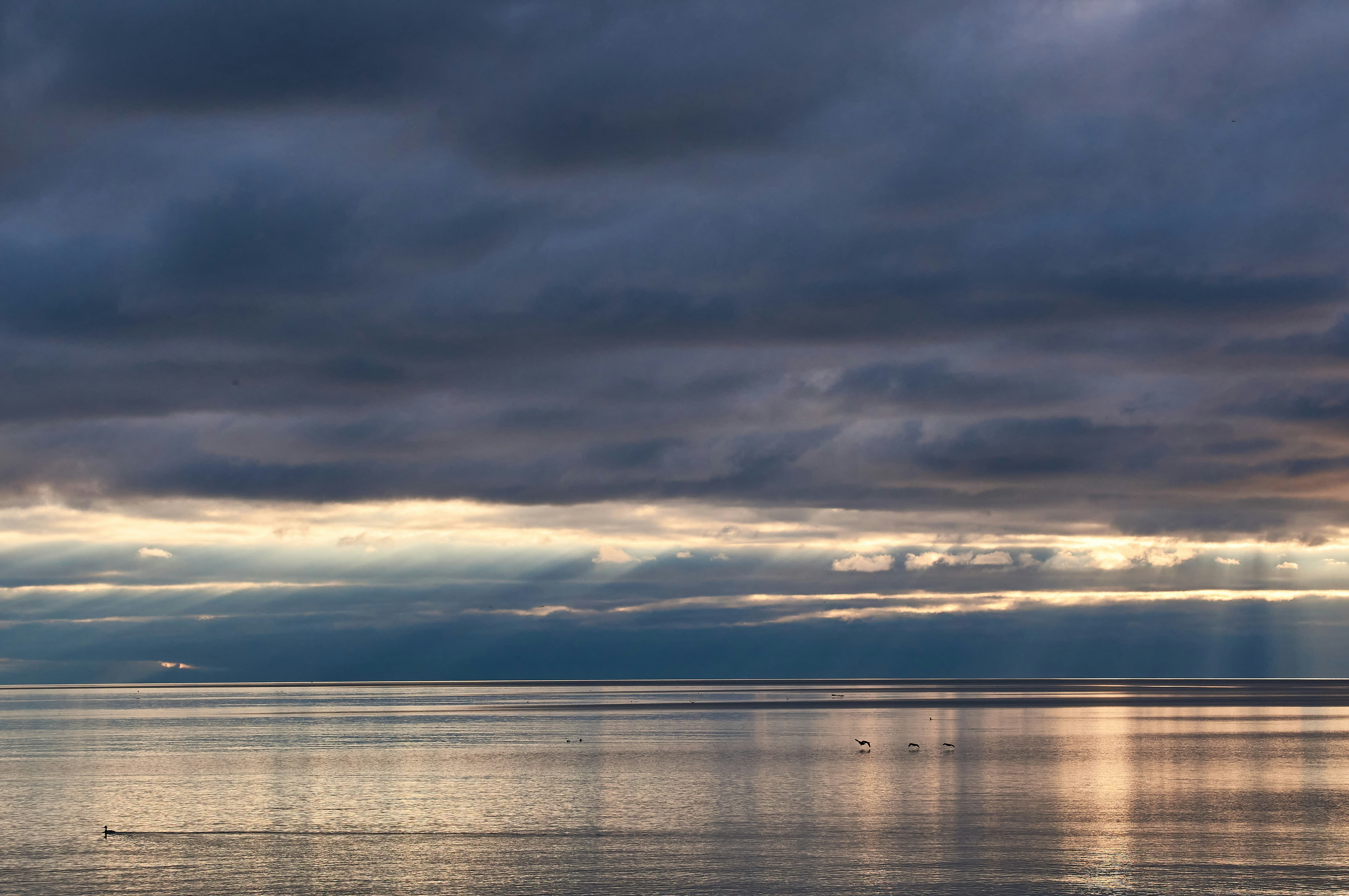 Photo by wolfgang_hasselmann